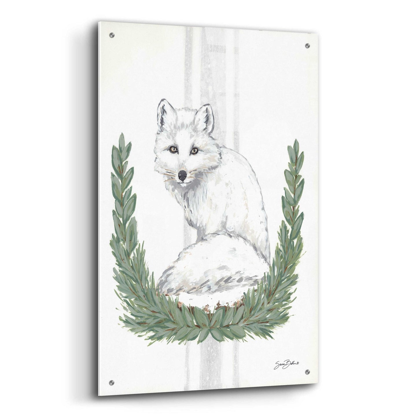 Epic Art 'Arctic Winter Fox  ' by Sara Baker, Acrylic Glass Wall Art,24x36