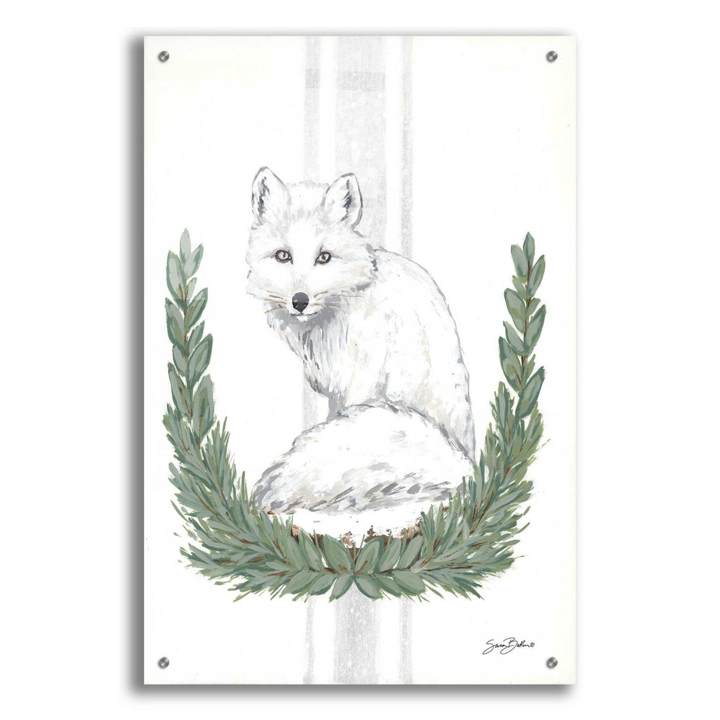 Epic Art 'Arctic Winter Fox  ' by Sara Baker, Acrylic Glass Wall Art,24x36