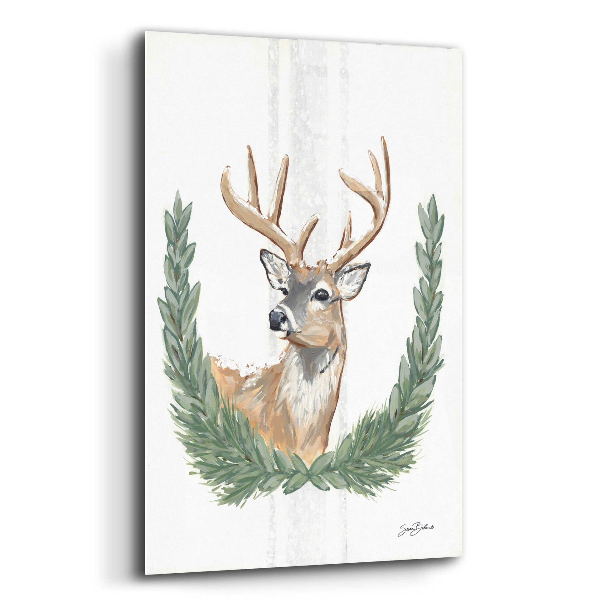 Epic Art 'Arctic Winter Deer  ' by Sara Baker, Acrylic Glass Wall Art,12x16