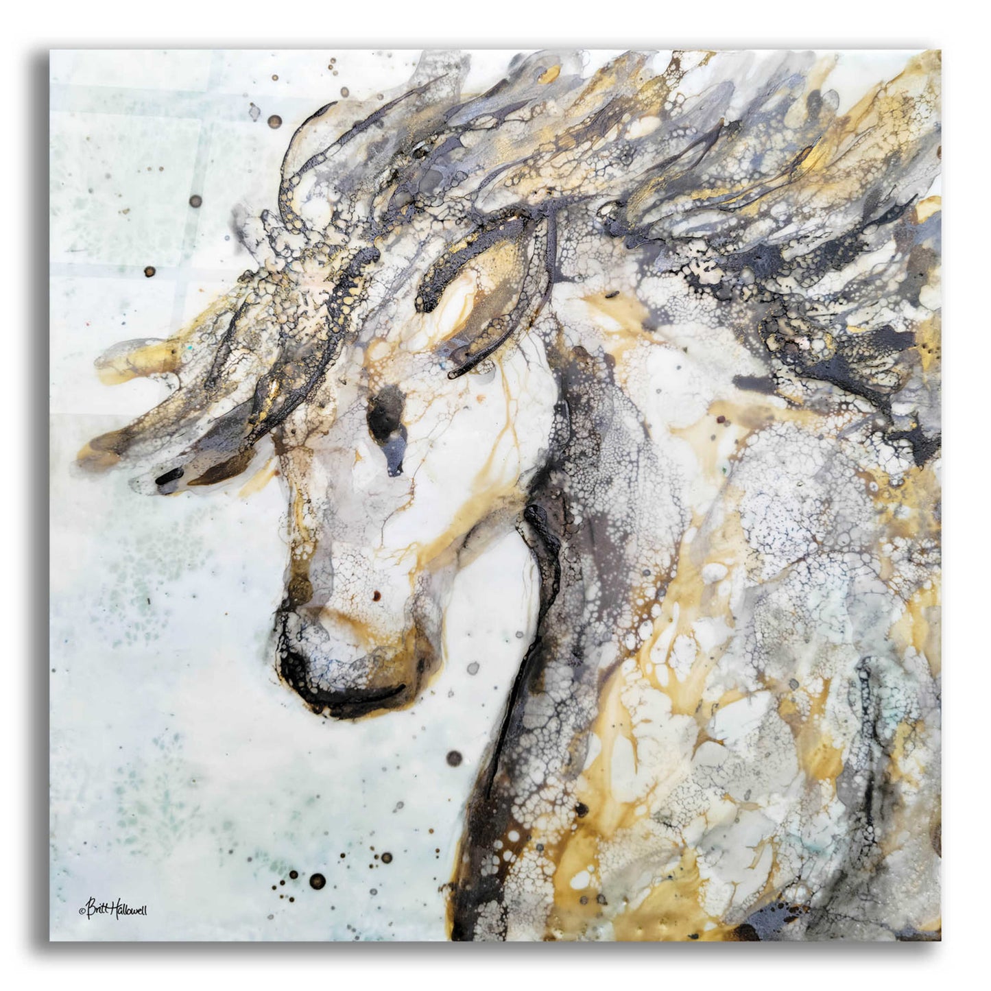 Epic Art 'Running Wild' by Britt Hallowell, Acrylic Glass Wall Art,12x12