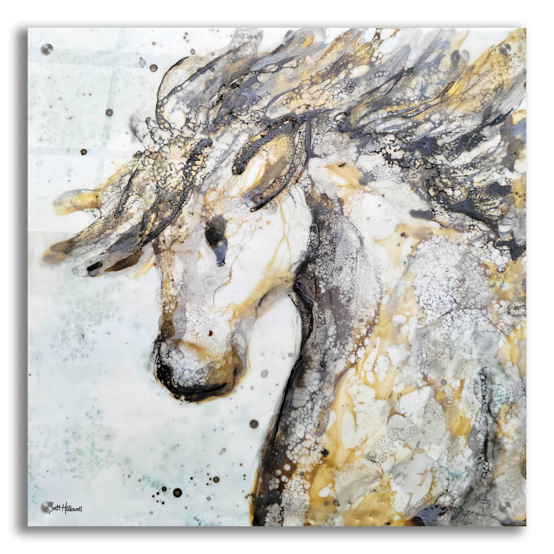 Epic Art 'Running Wild' by Britt Hallowell, Acrylic Glass Wall Art,24x24