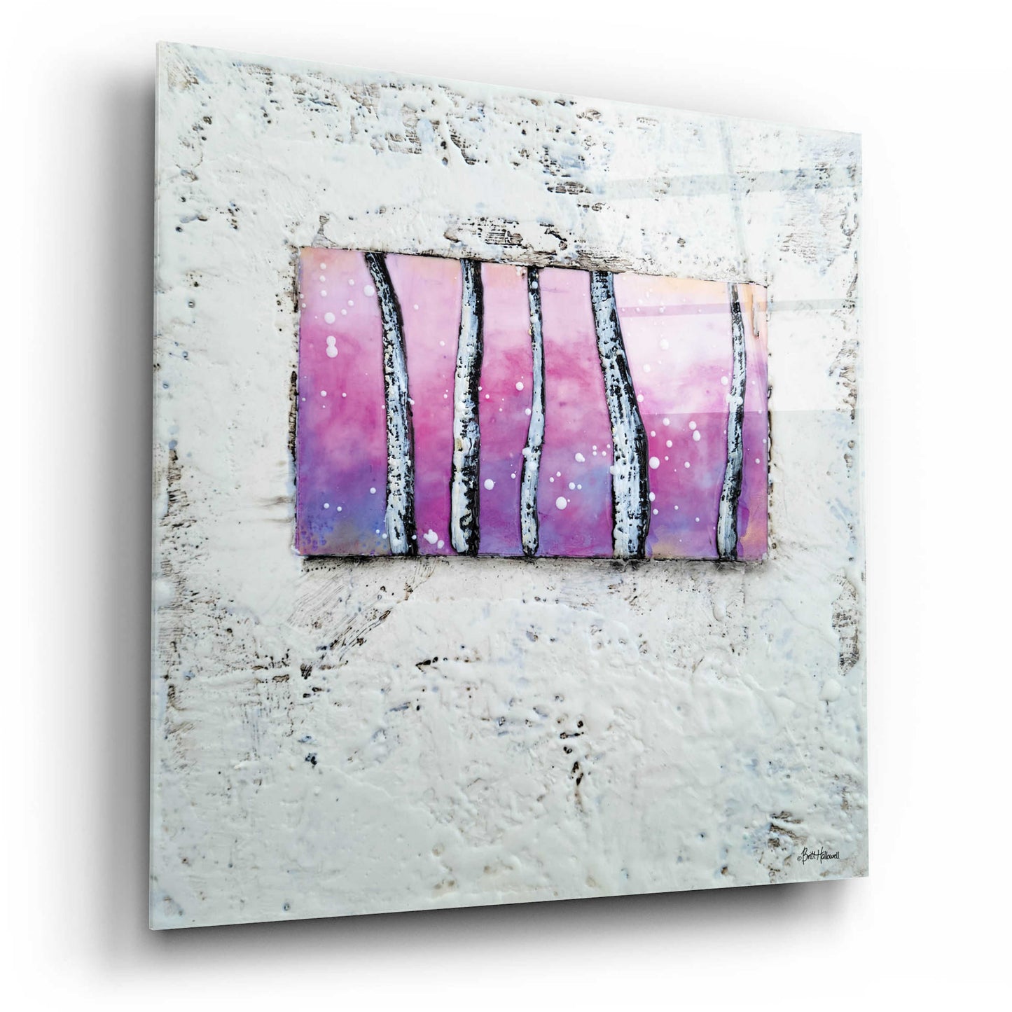 Epic Art 'Window to Nature I' by Britt Hallowell, Acrylic Glass Wall Art,12x12