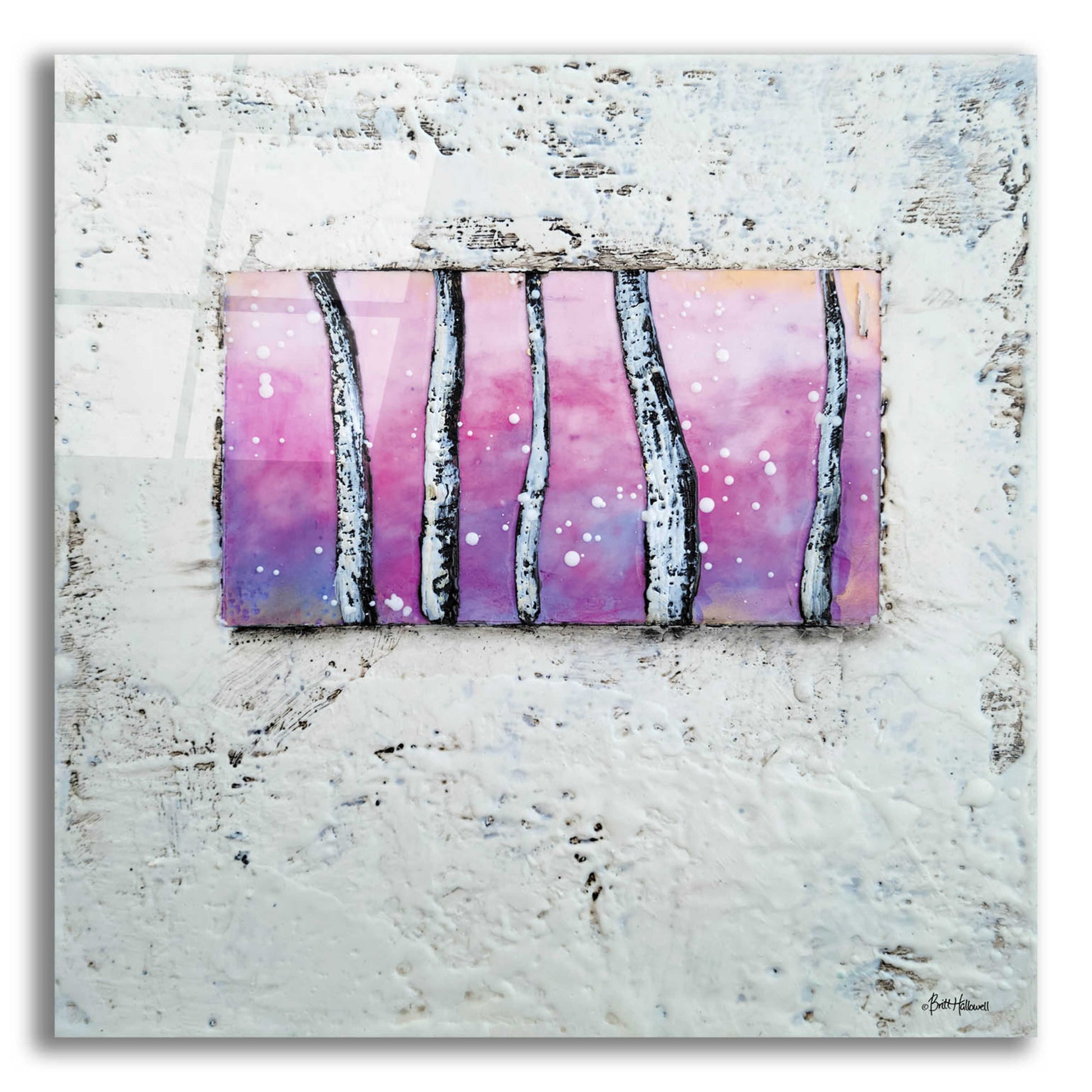 Epic Art 'Window to Nature I' by Britt Hallowell, Acrylic Glass Wall Art,12x12