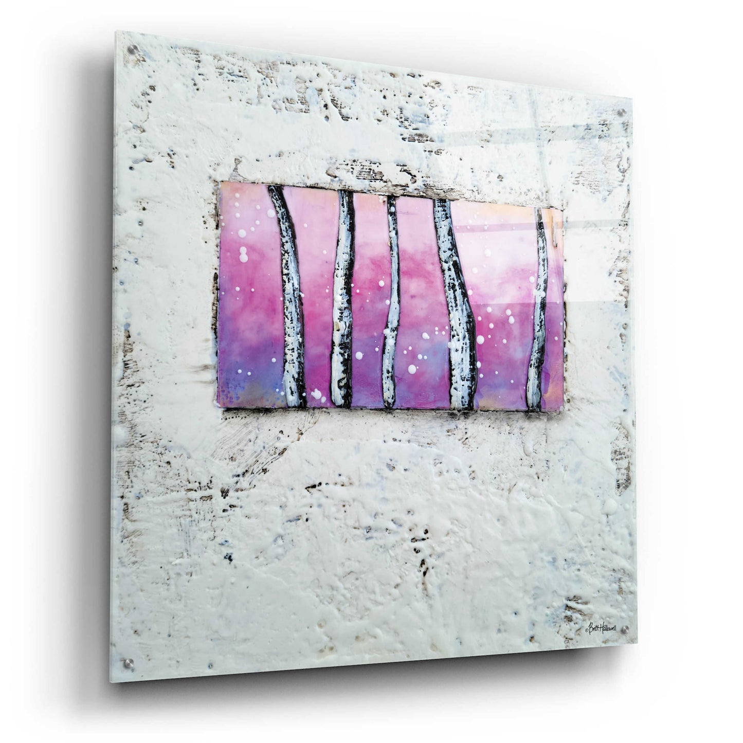 Epic Art 'Window to Nature I' by Britt Hallowell, Acrylic Glass Wall Art,36x36