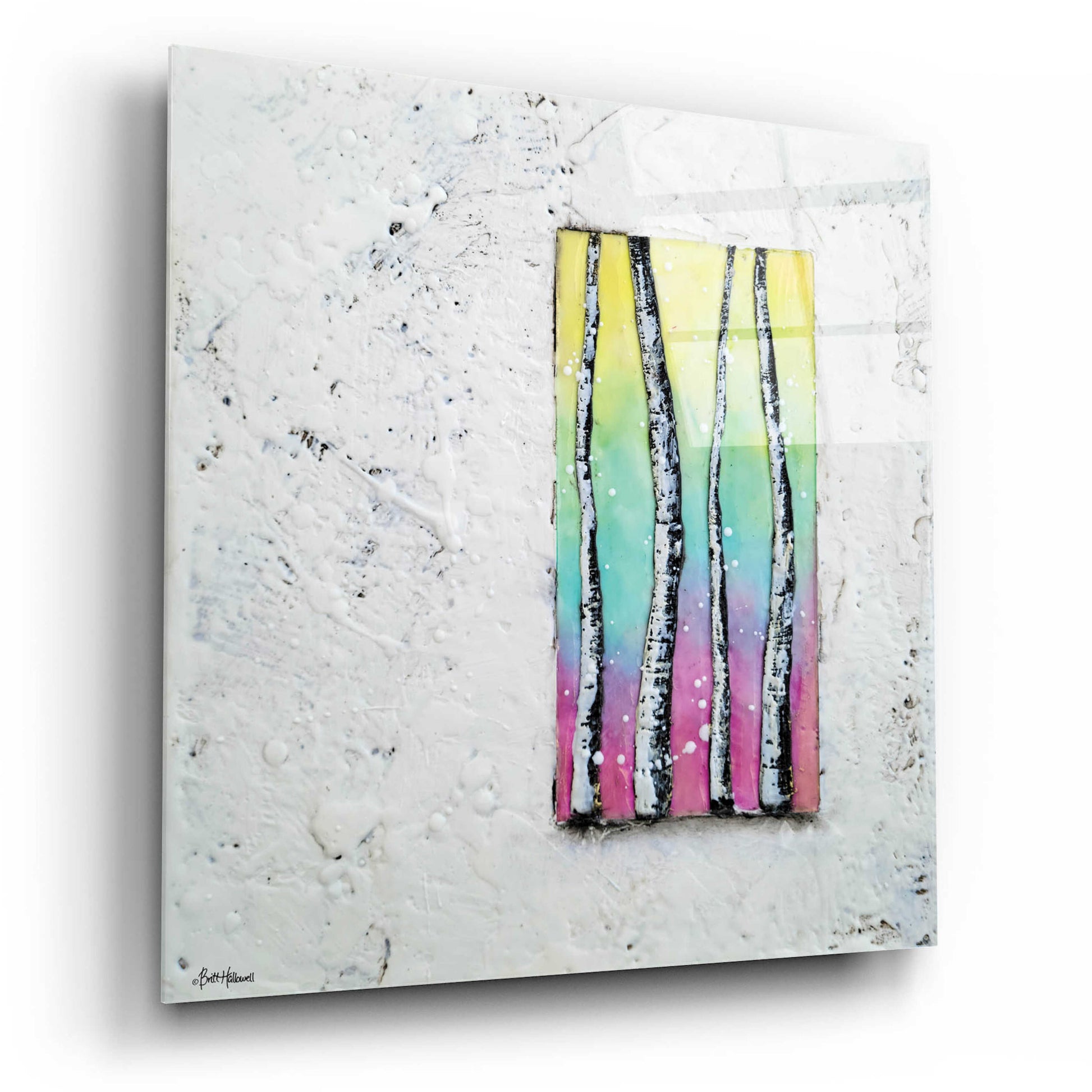 Epic Art 'Window to Nature II' by Britt Hallowell, Acrylic Glass Wall Art,12x12