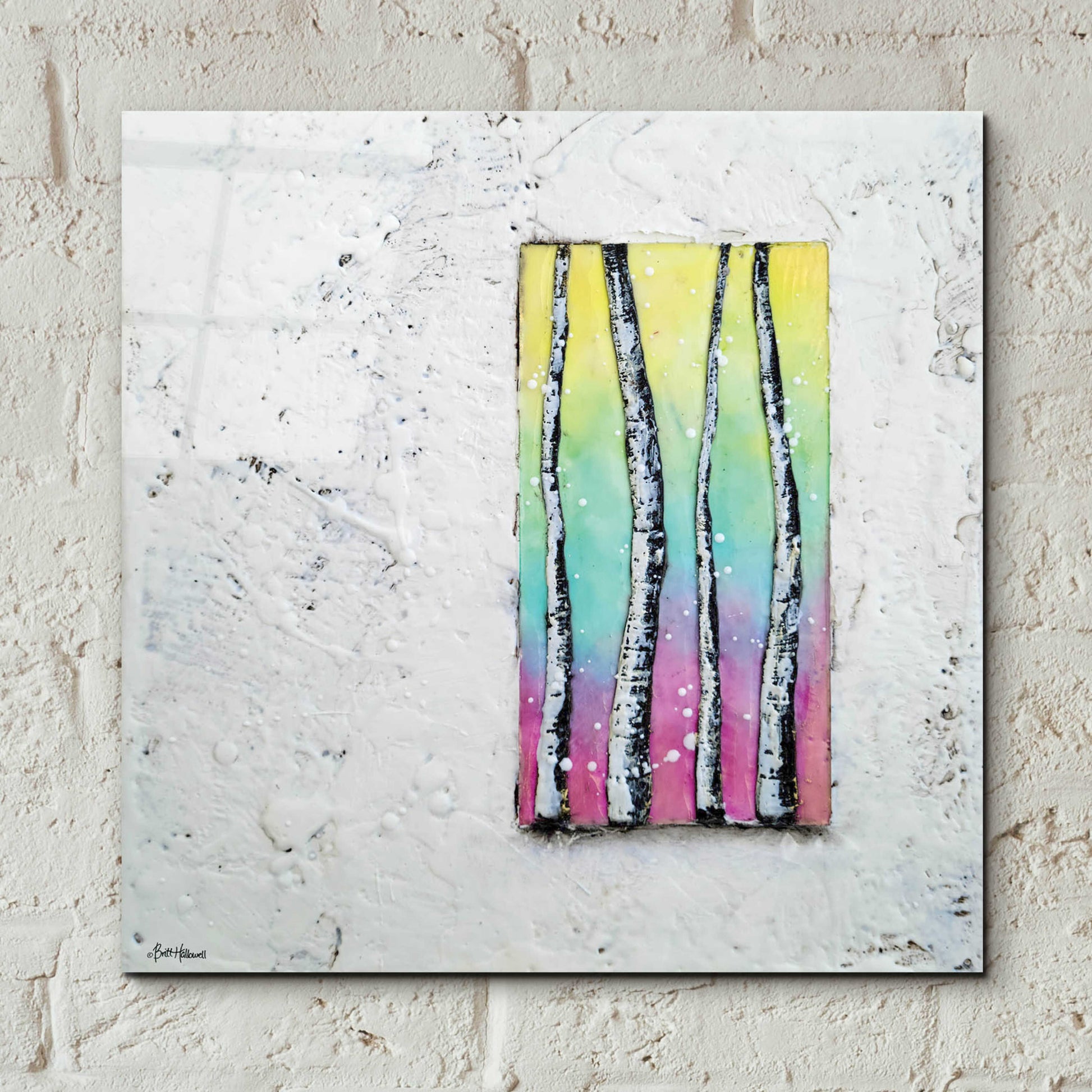 Epic Art 'Window to Nature II' by Britt Hallowell, Acrylic Glass Wall Art,12x12