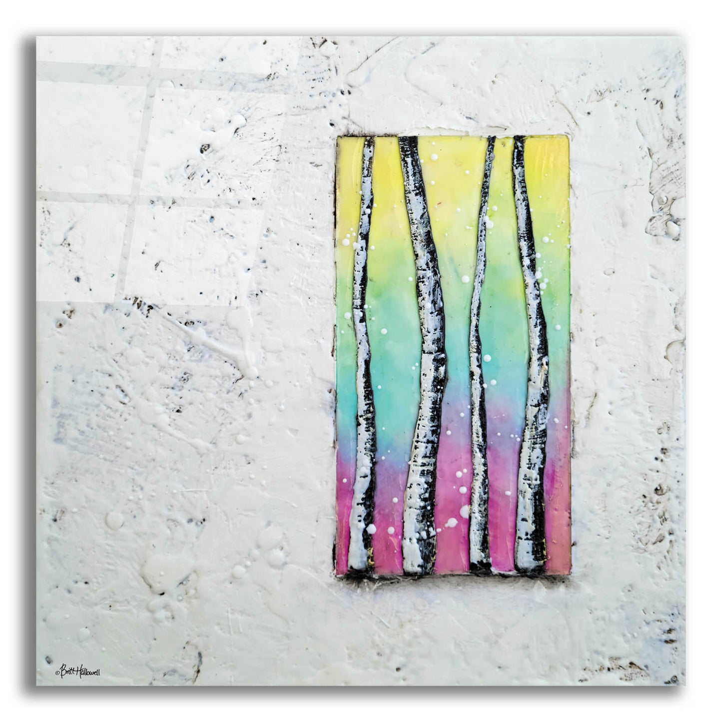 Epic Art 'Window to Nature II' by Britt Hallowell, Acrylic Glass Wall Art,12x12