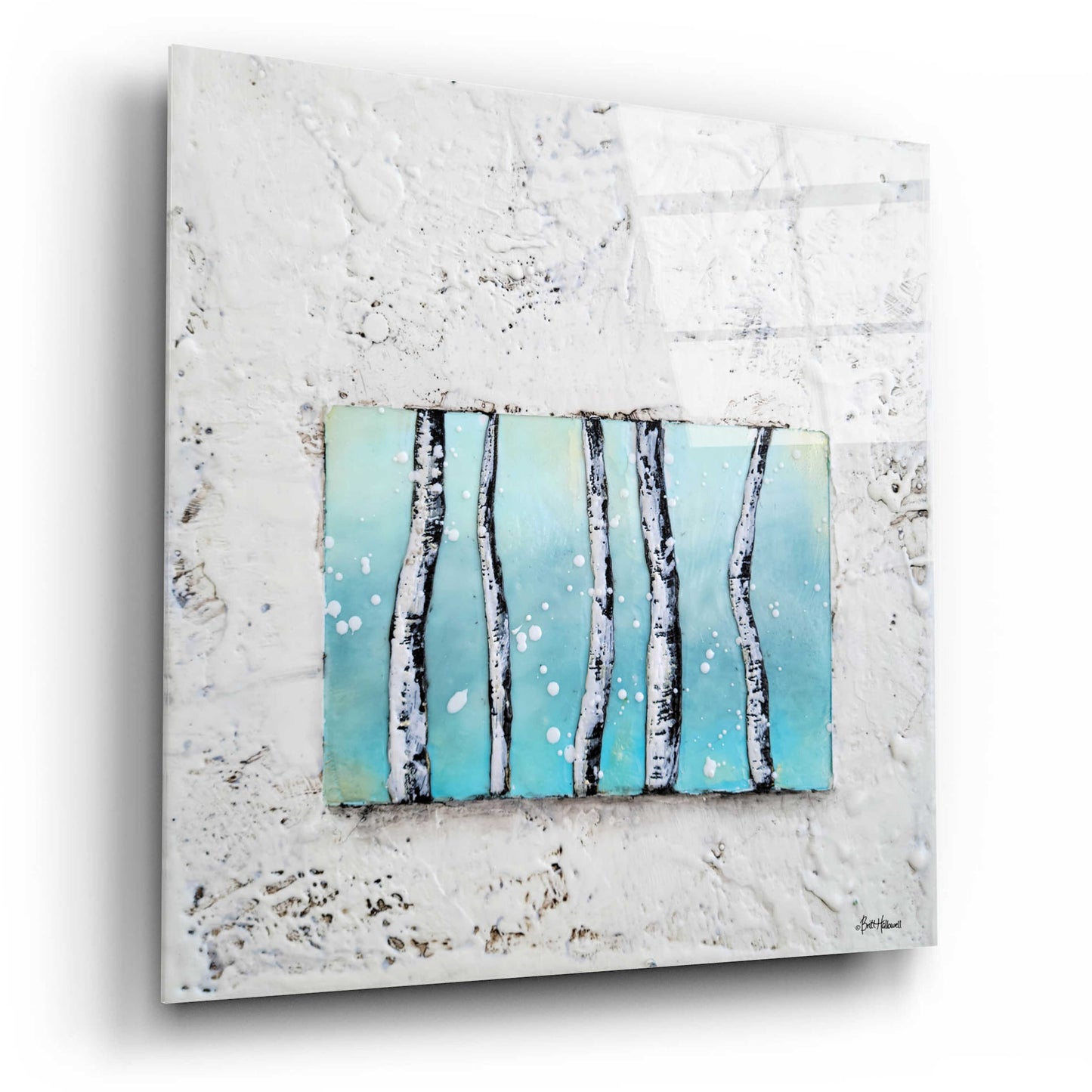 Epic Art 'Window to Nature III' by Britt Hallowell, Acrylic Glass Wall Art,12x12