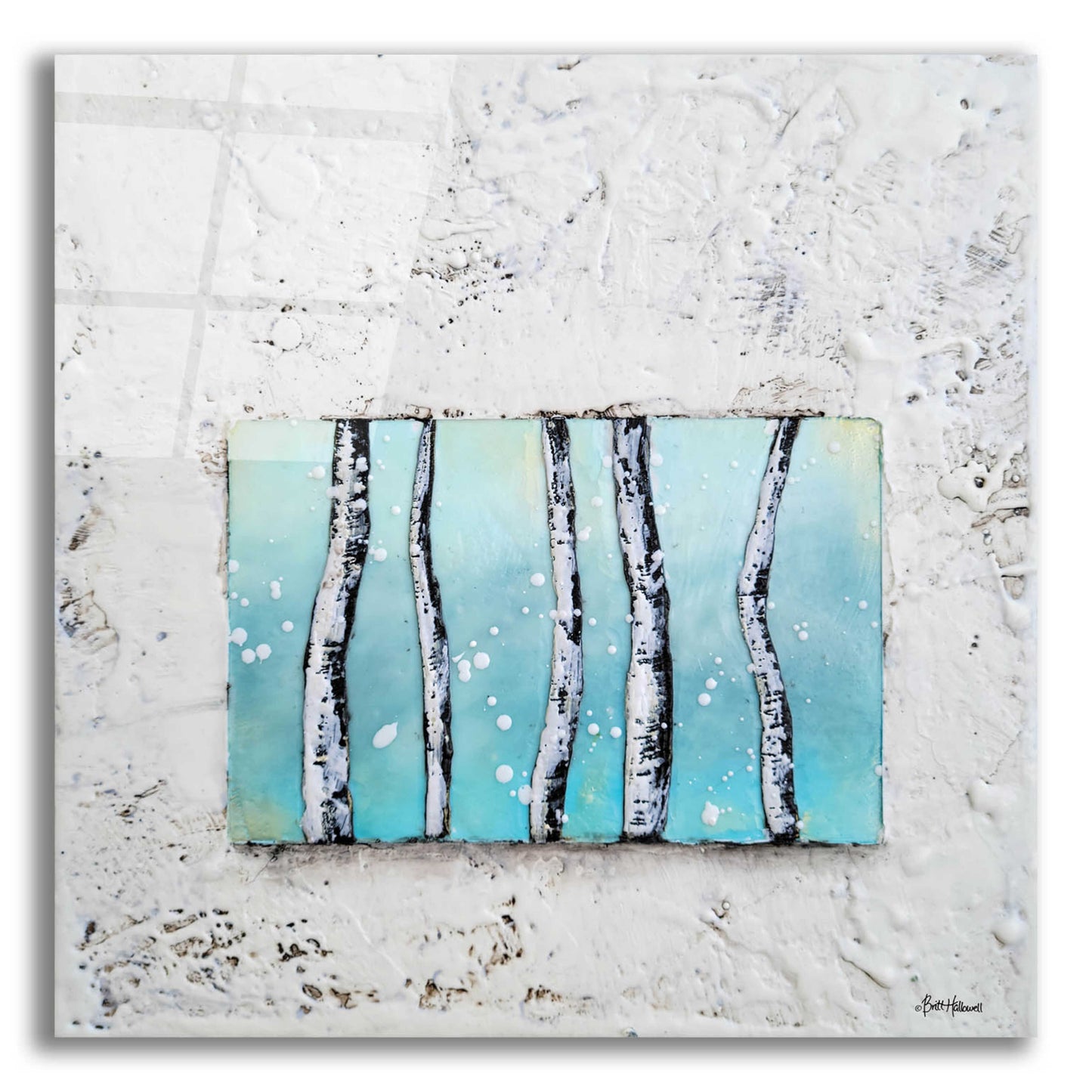 Epic Art 'Window to Nature III' by Britt Hallowell, Acrylic Glass Wall Art,12x12