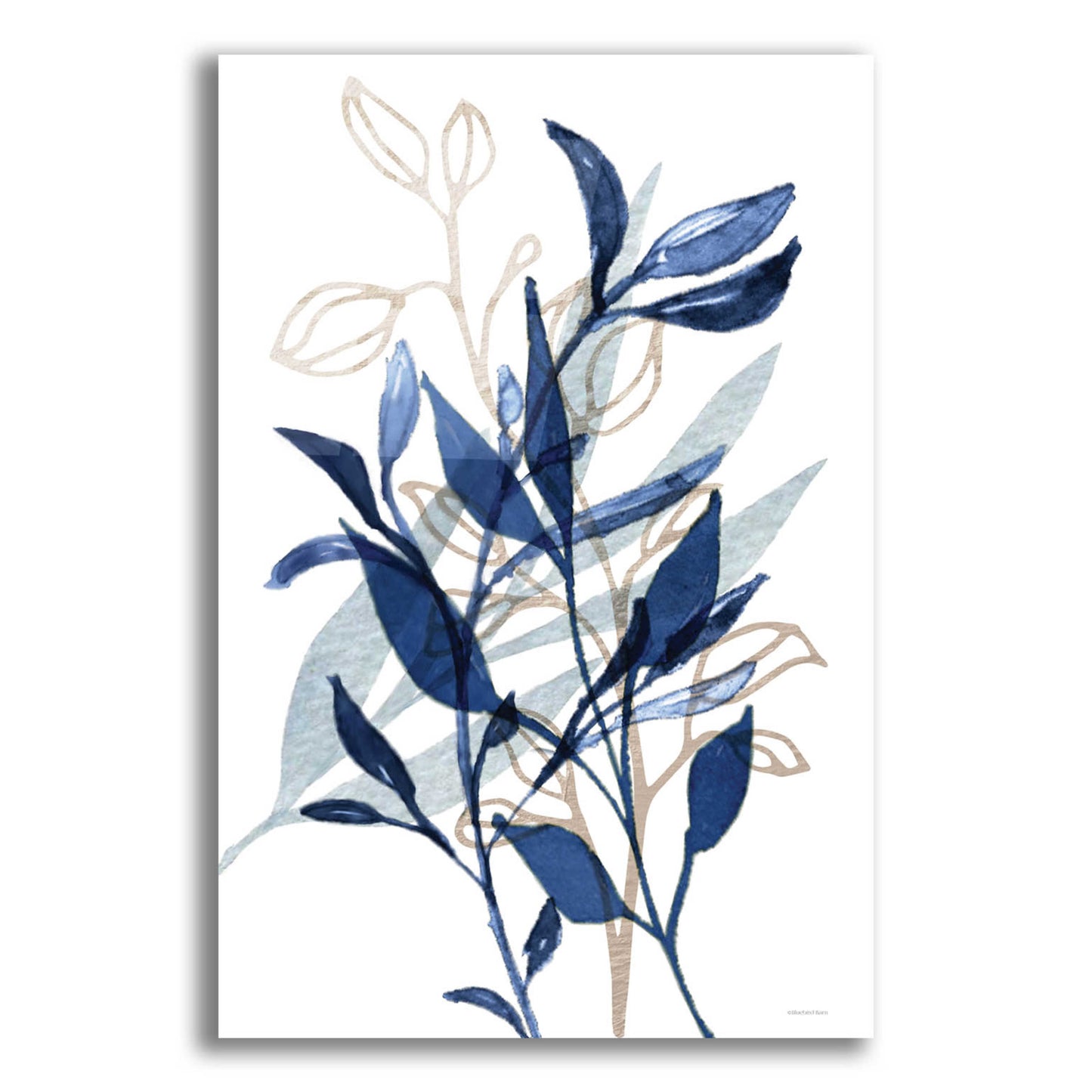 Epic Art 'Botanical Blues I' by Bluebird Barn, Acrylic Glass Wall Art,12x16