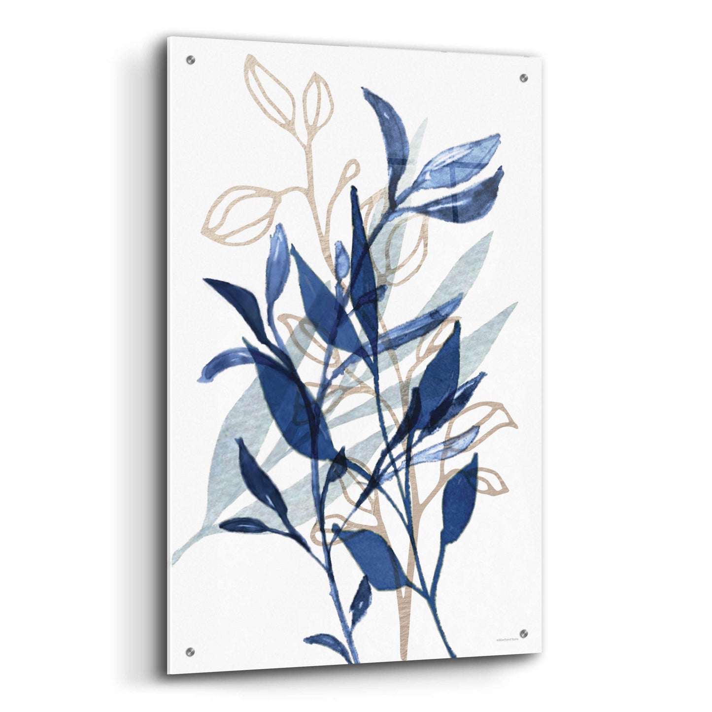 Epic Art 'Botanical Blues I' by Bluebird Barn, Acrylic Glass Wall Art,24x36