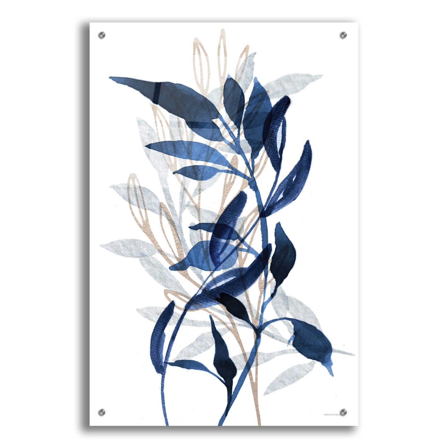 Epic Art 'Botanical Blues II' by Bluebird Barn, Acrylic Glass Wall Art,24x36