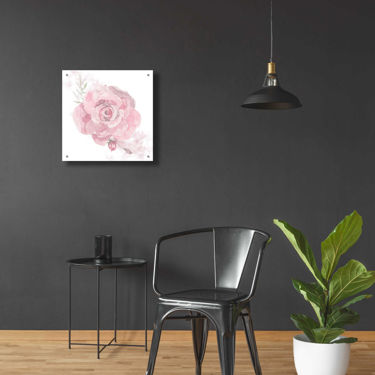 Epic Art 'Cottage Rose' by Bluebird Barn, Acrylic Glass Wall Art,24x24