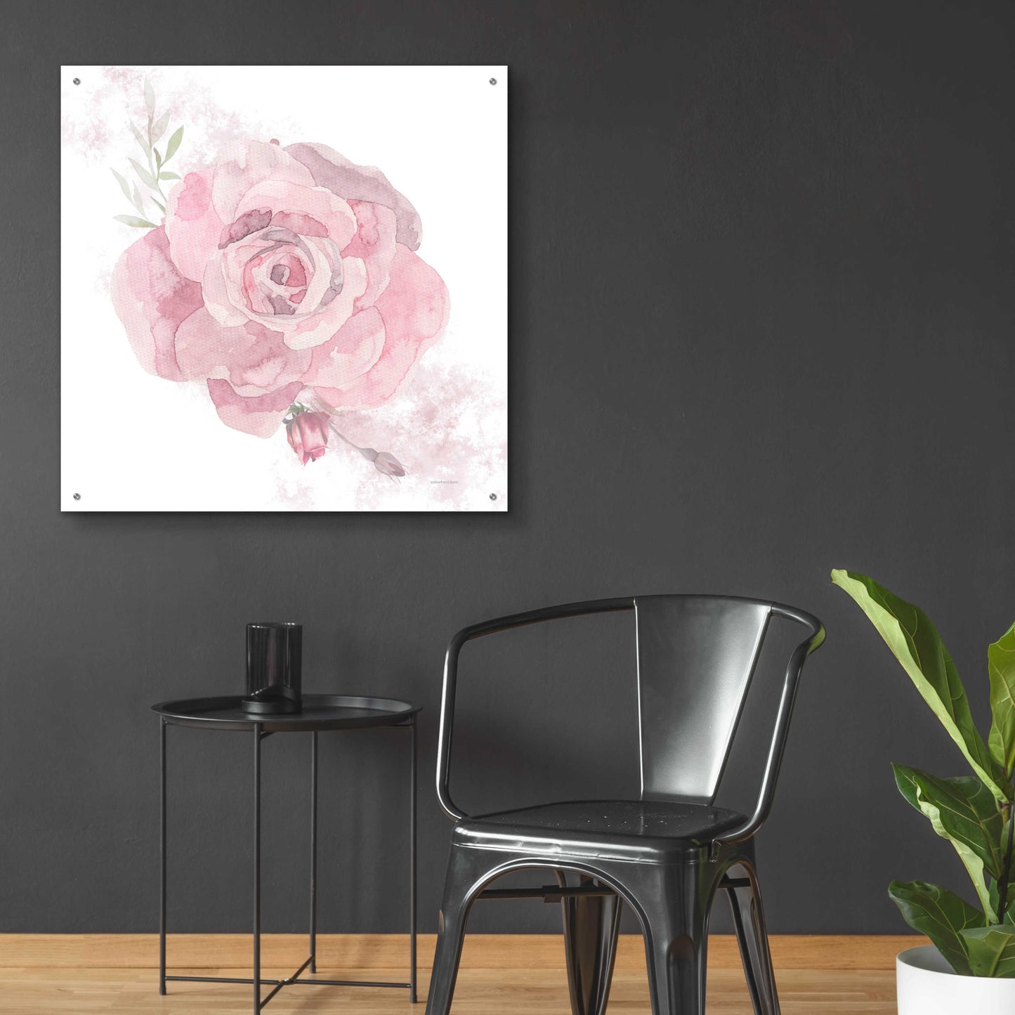 Epic Art 'Cottage Rose' by Bluebird Barn, Acrylic Glass Wall Art,36x36