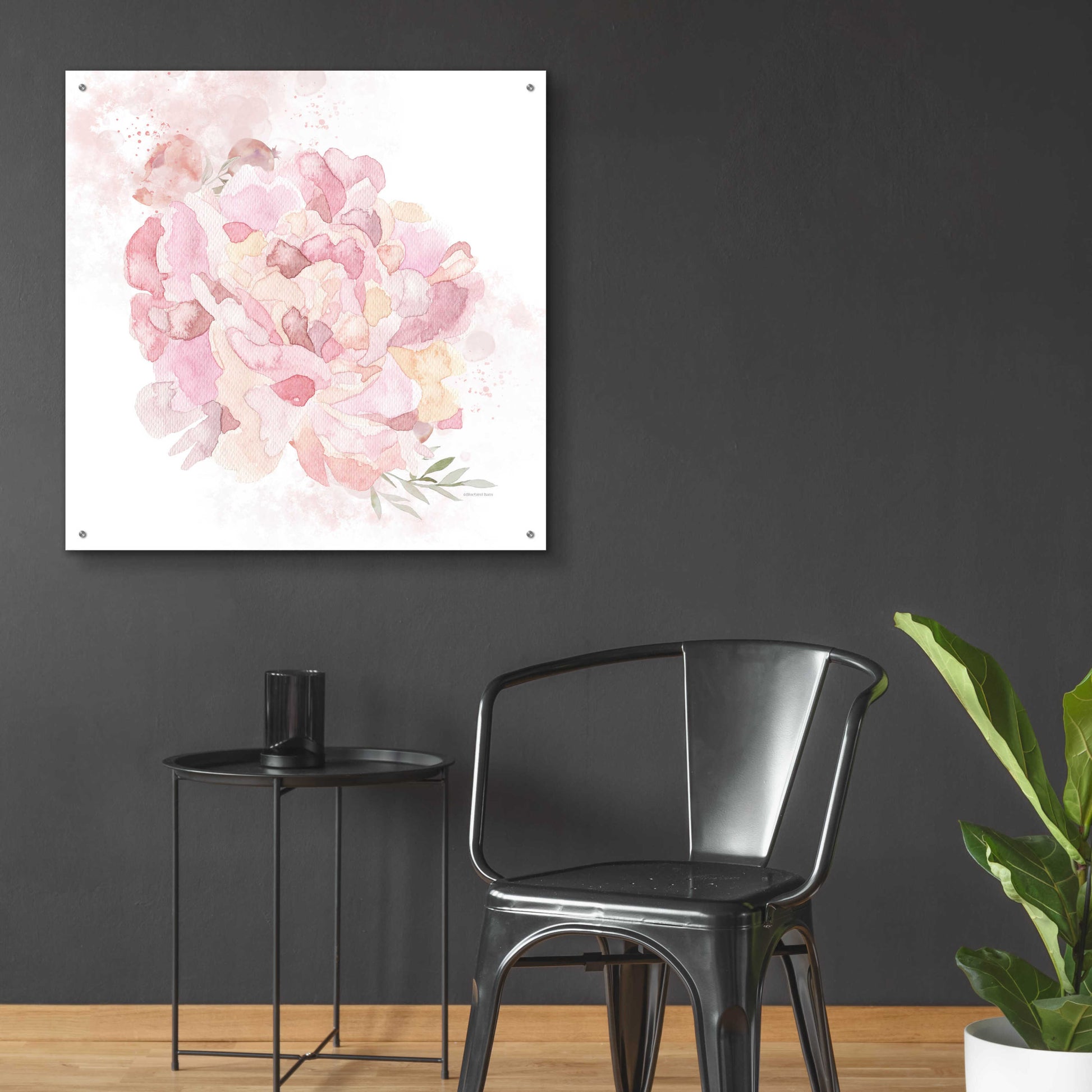 Epic Art 'Cottage Peony I' by Bluebird Barn, Acrylic Glass Wall Art,36x36