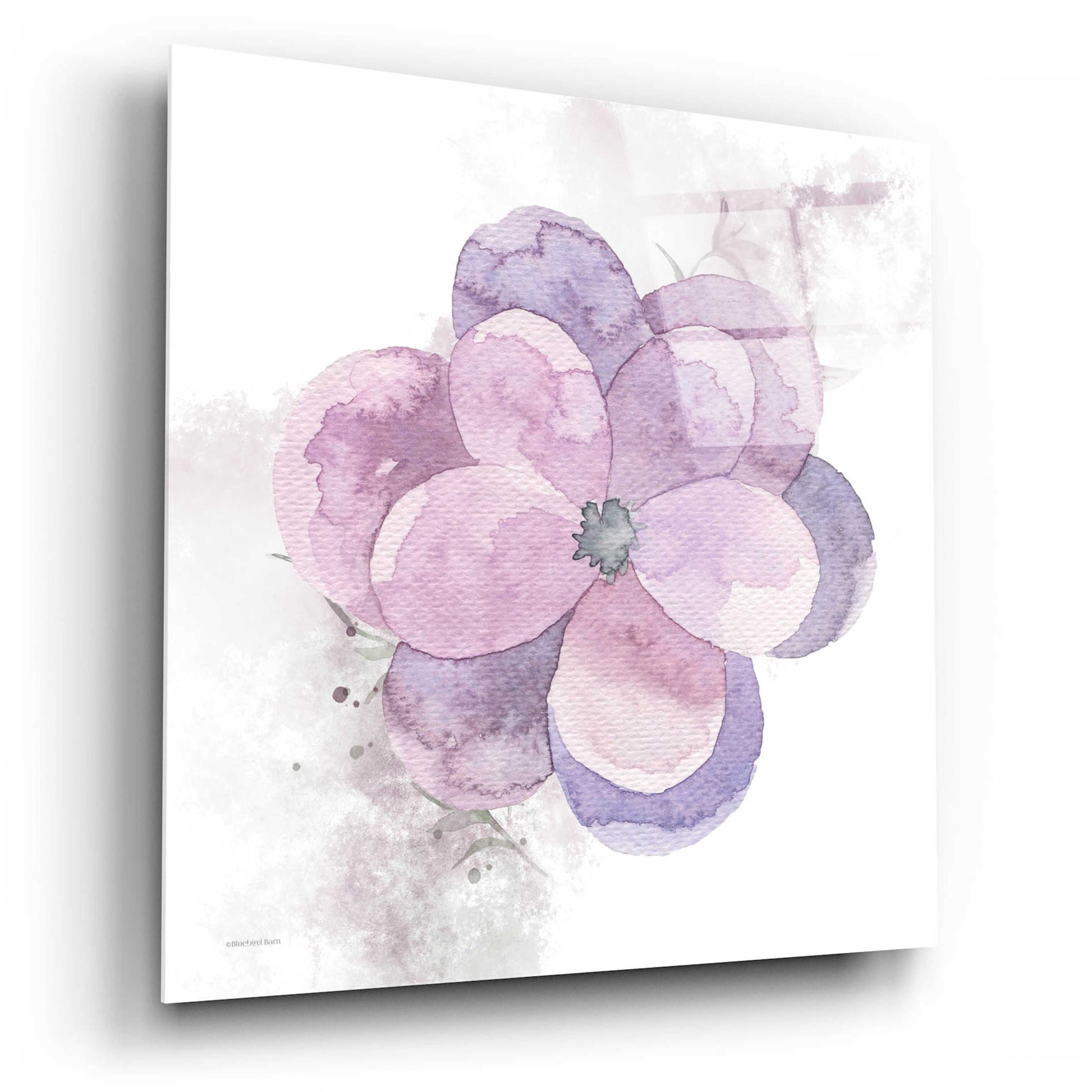 Epic Art 'Cottage Pansy' by Bluebird Barn, Acrylic Glass Wall Art,12x12