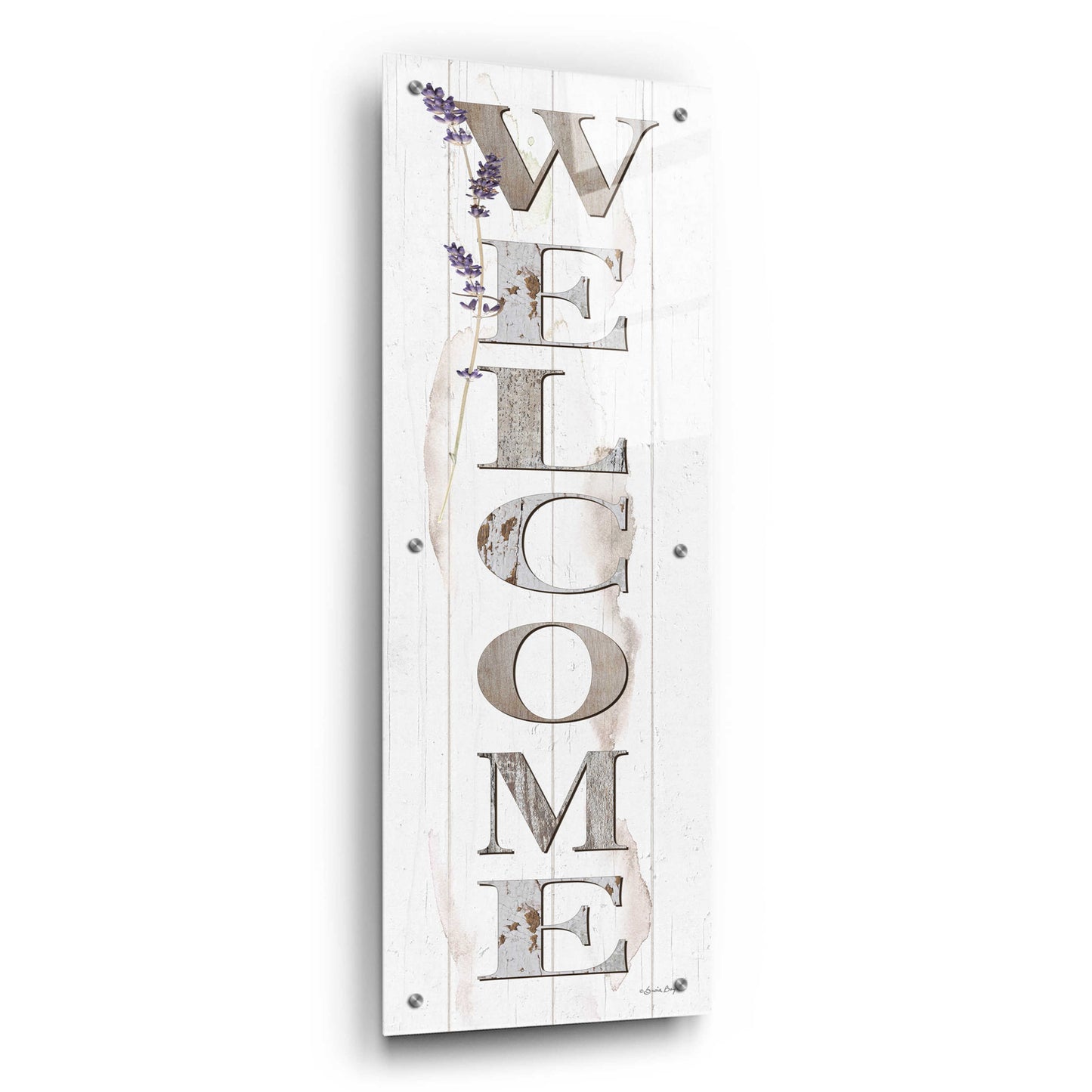 Epic Art 'Welcome' by Susie Boyer, Acrylic Glass Wall Art,12x36