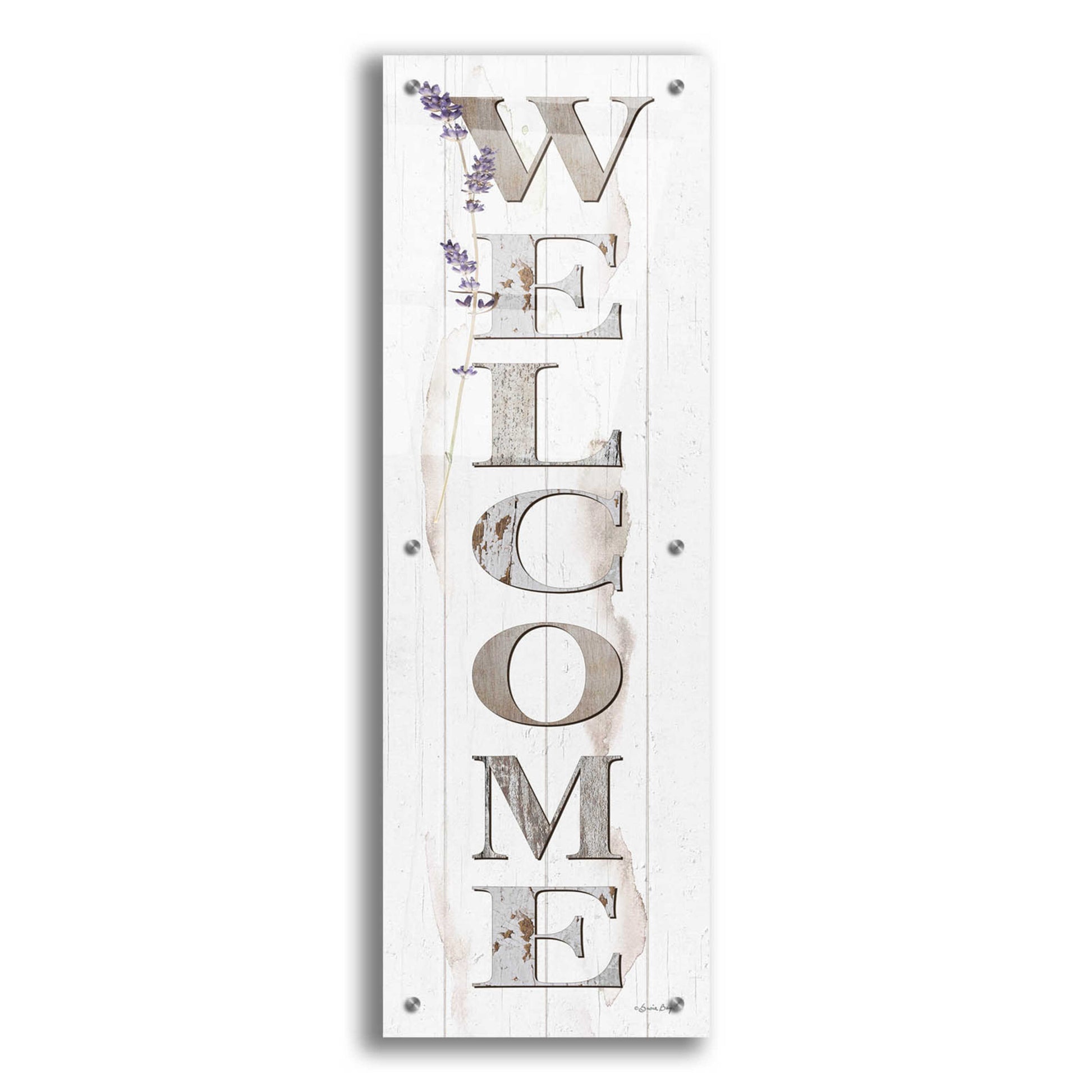 Epic Art 'Welcome' by Susie Boyer, Acrylic Glass Wall Art,12x36