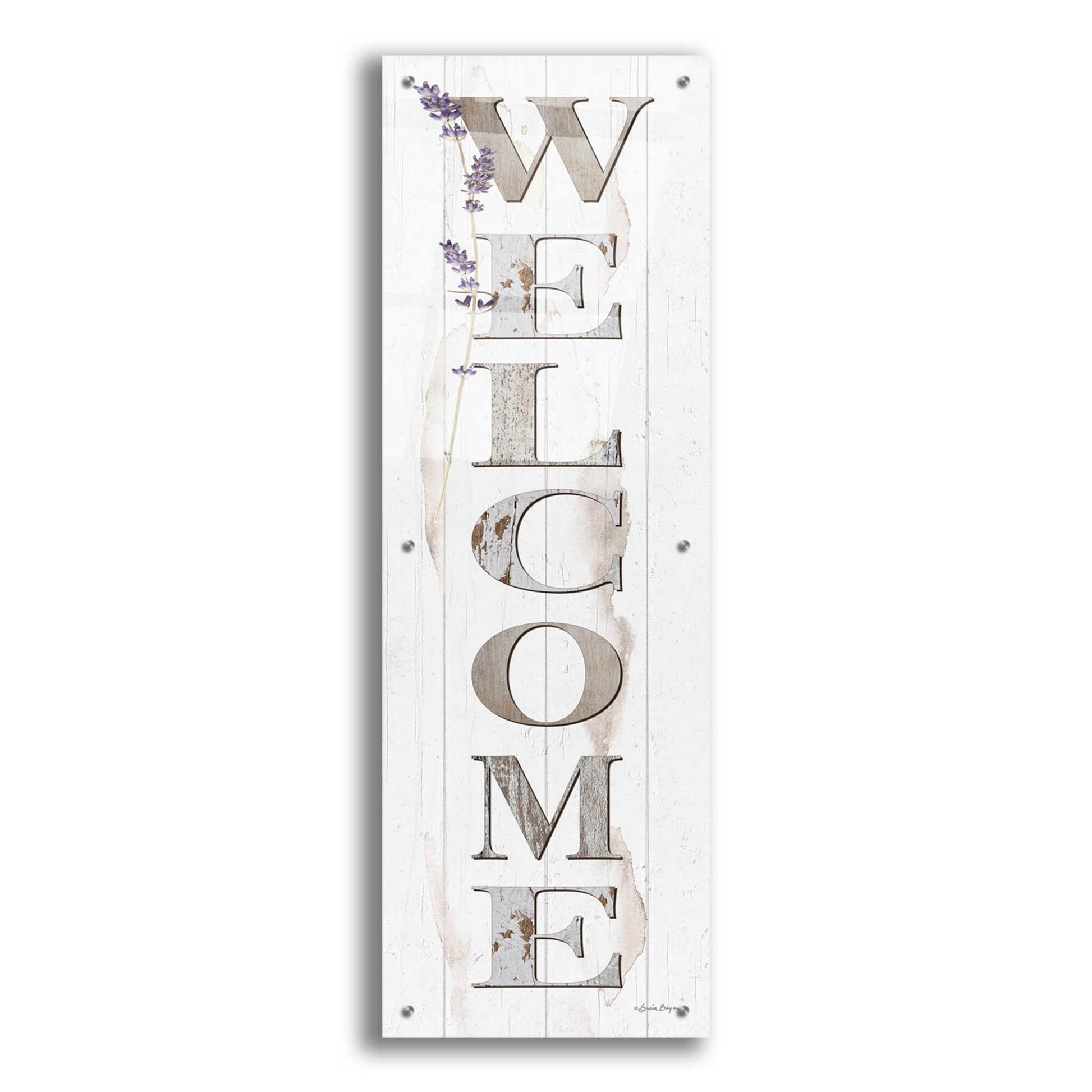 Epic Art 'Welcome' by Susie Boyer, Acrylic Glass Wall Art,16x48