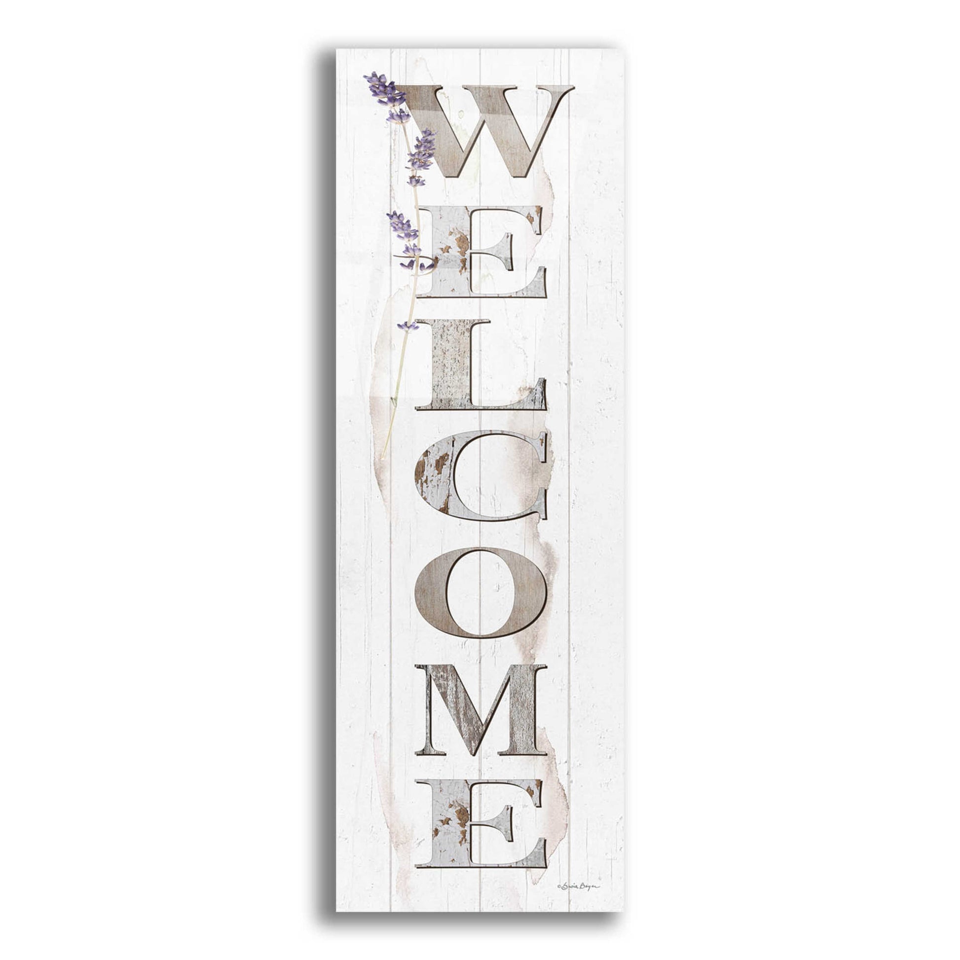 Epic Art 'Welcome' by Susie Boyer, Acrylic Glass Wall Art