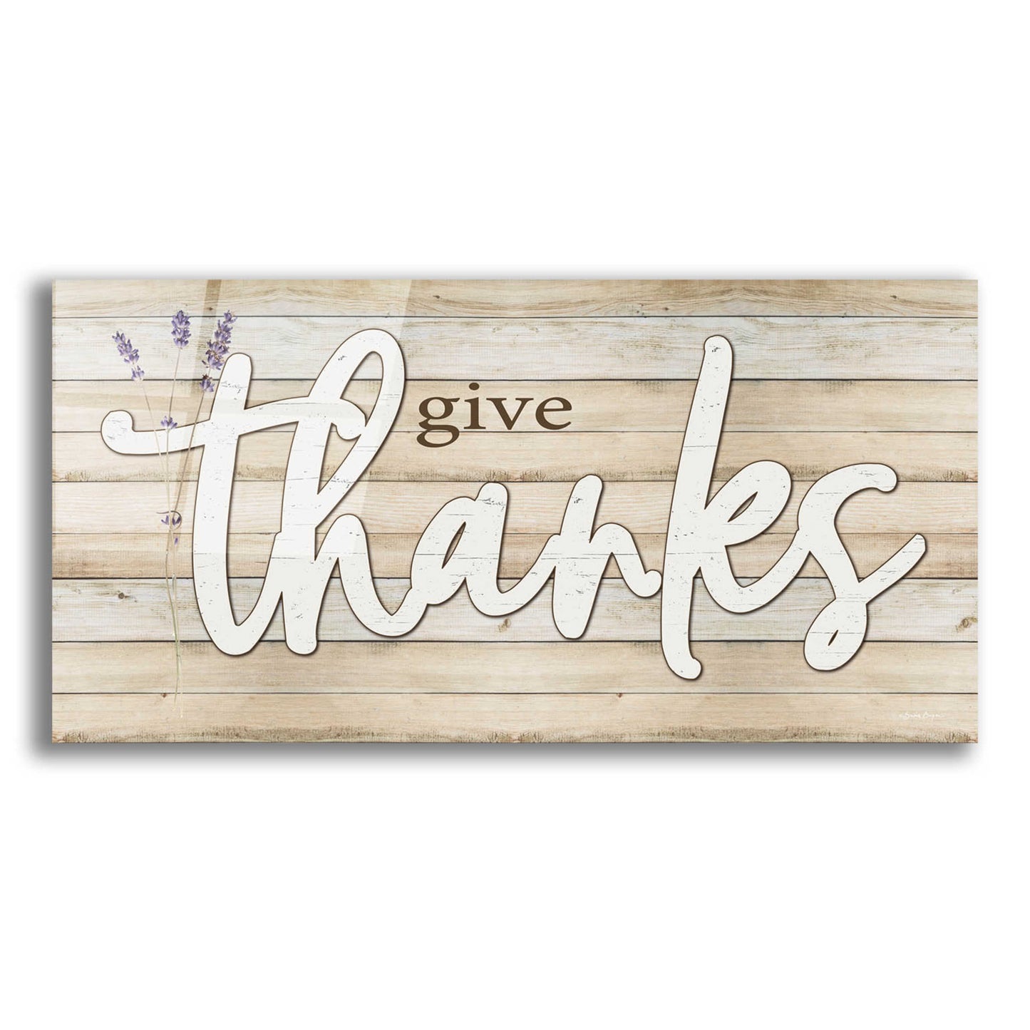 Epic Art 'Give Thanks' by Susie Boyer, Acrylic Glass Wall Art,24x12