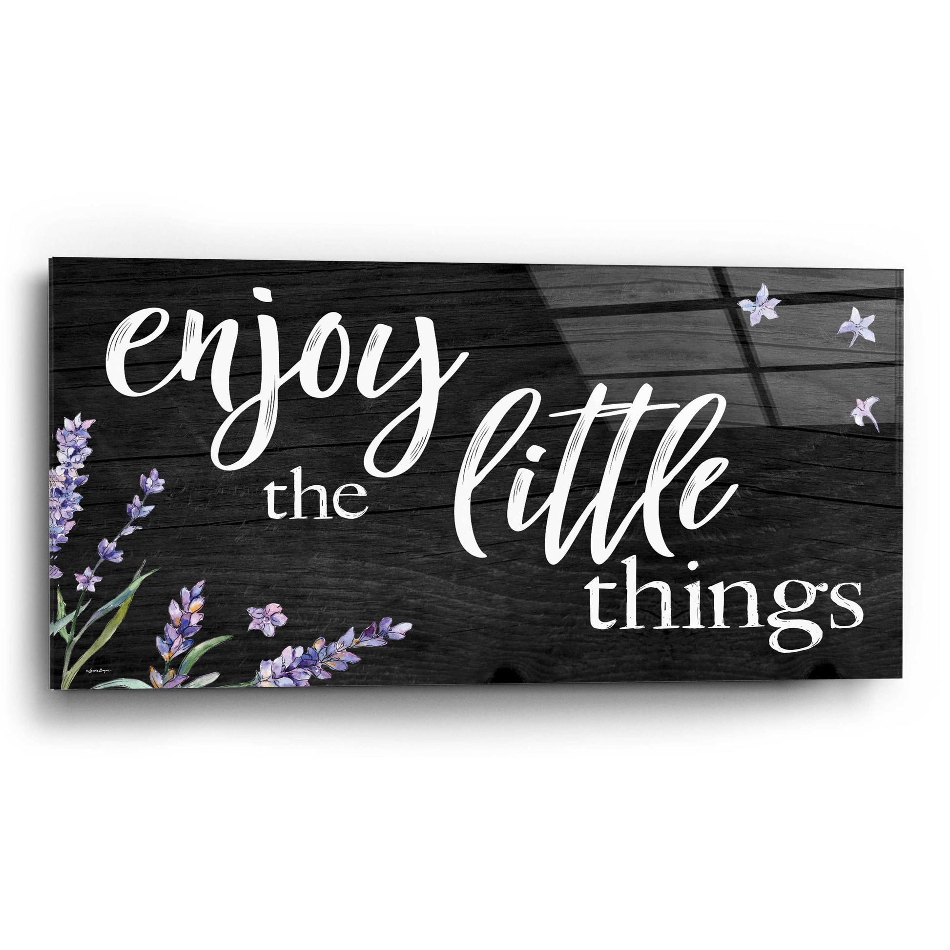 Epic Art 'Enjoy the Little Things  ' by Susie Boyer, Acrylic Glass Wall Art,24x12