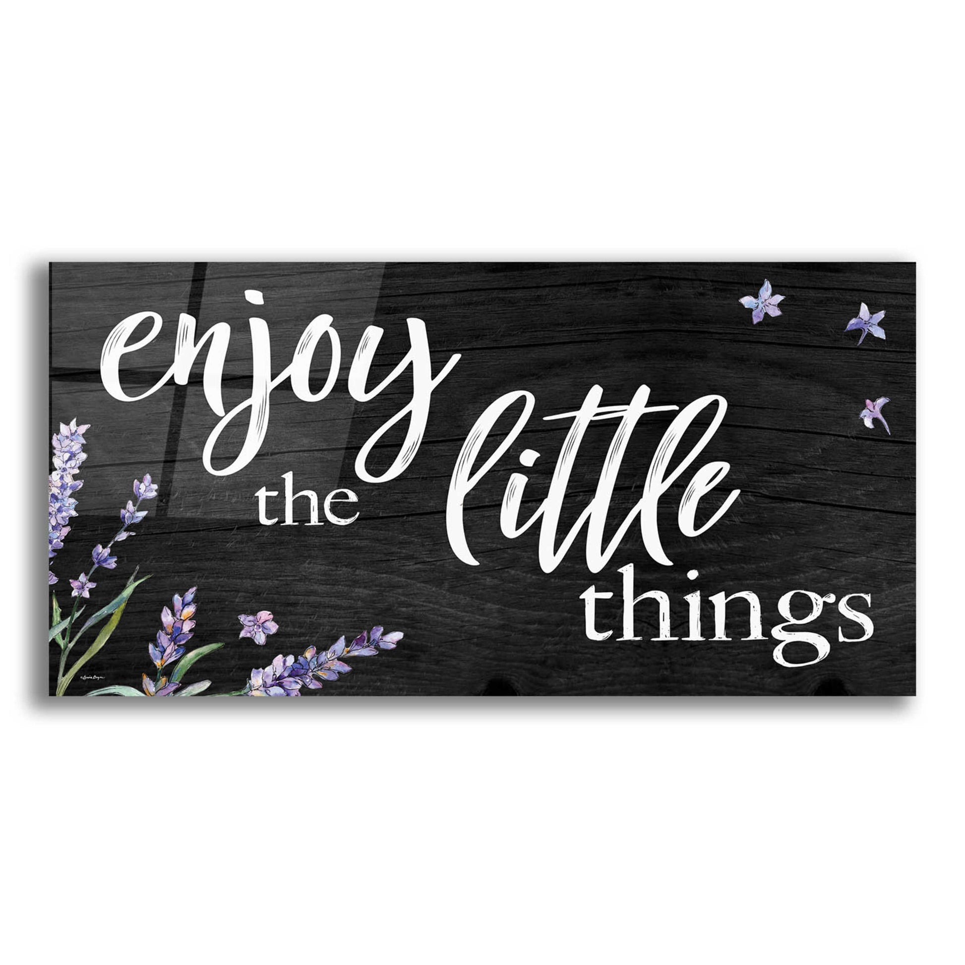 Epic Art 'Enjoy the Little Things  ' by Susie Boyer, Acrylic Glass Wall Art,24x12