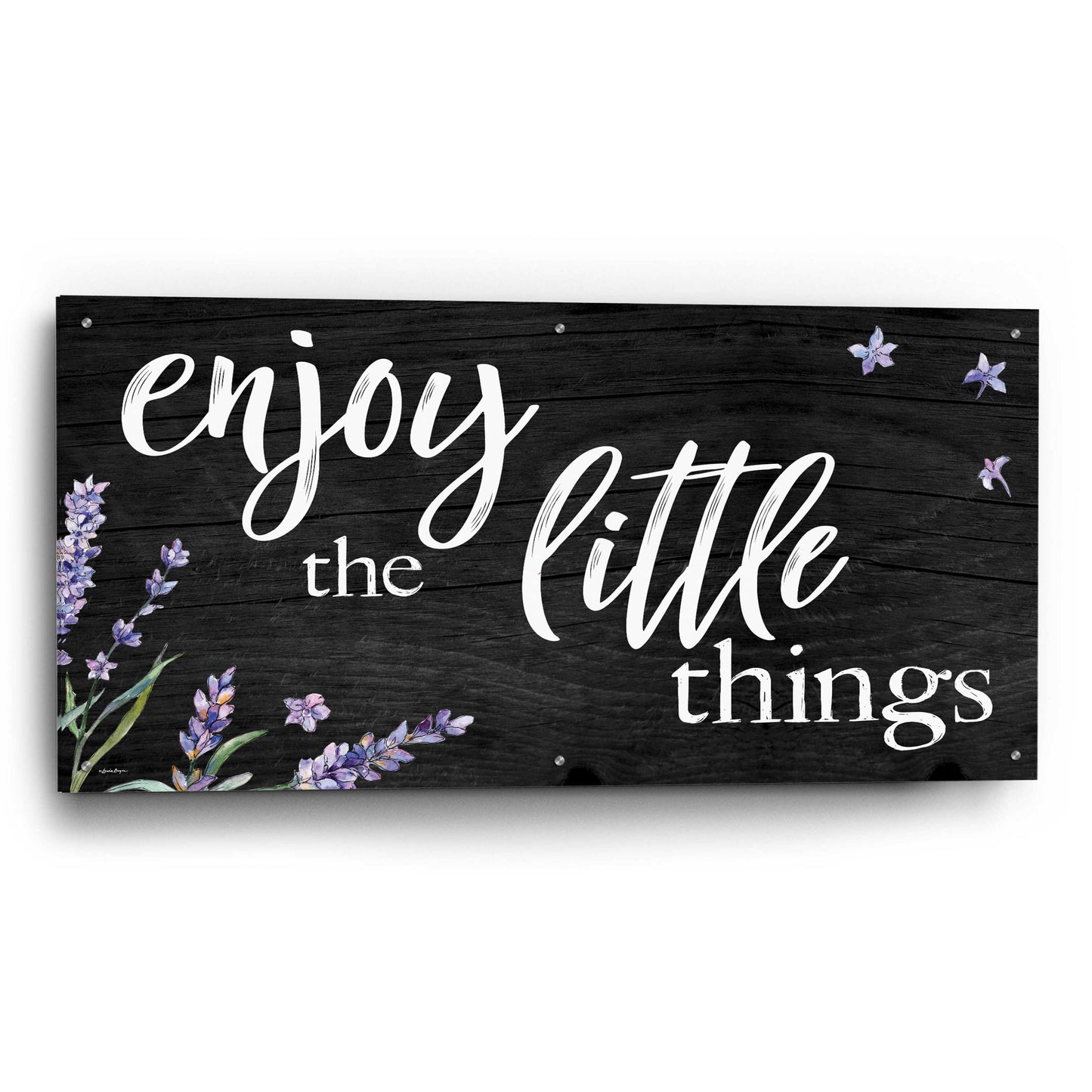 Epic Art 'Enjoy the Little Things  ' by Susie Boyer, Acrylic Glass Wall Art,48x24