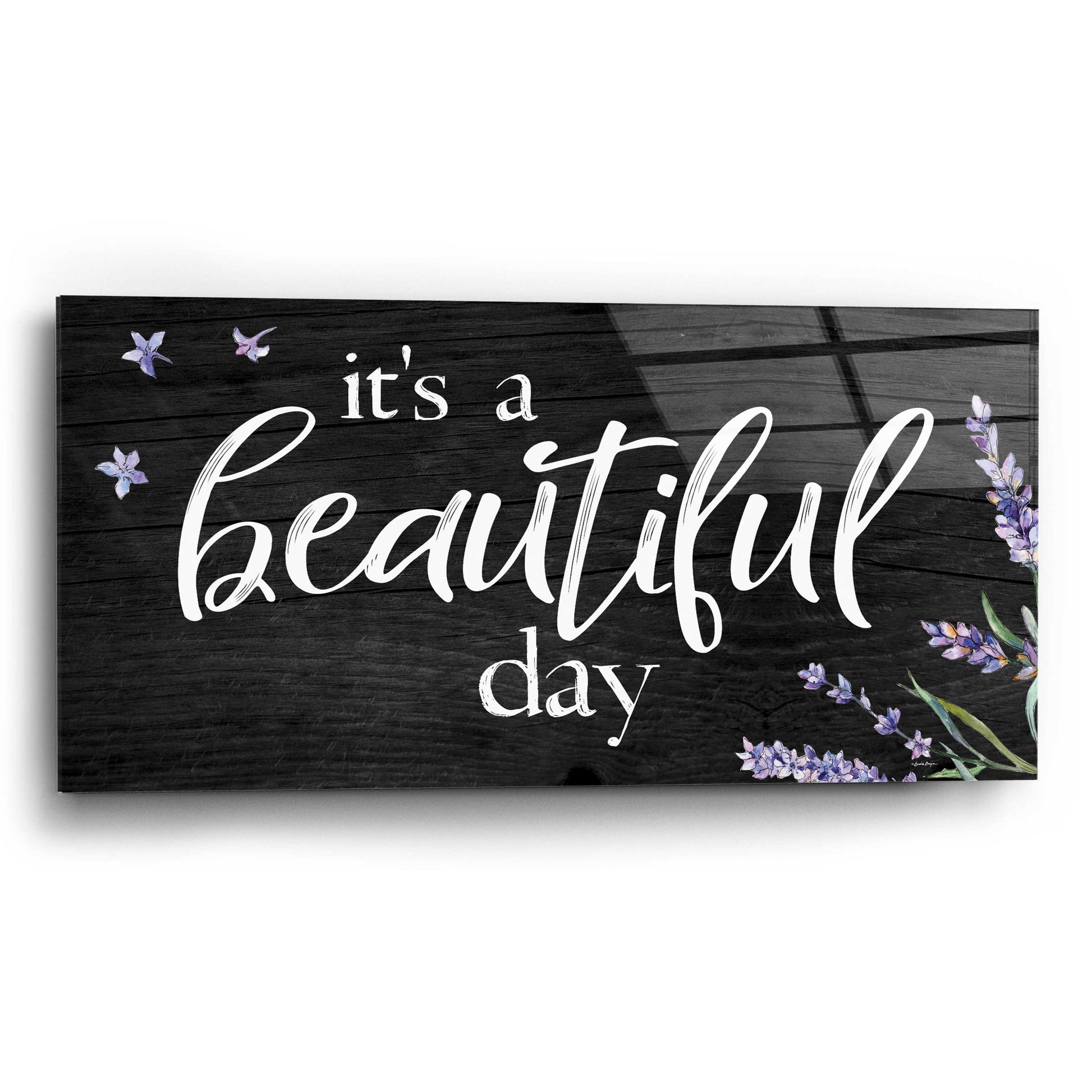 Epic Art 'It's a Beautiful Day    ' by Susie Boyer, Acrylic Glass Wall Art,24x12