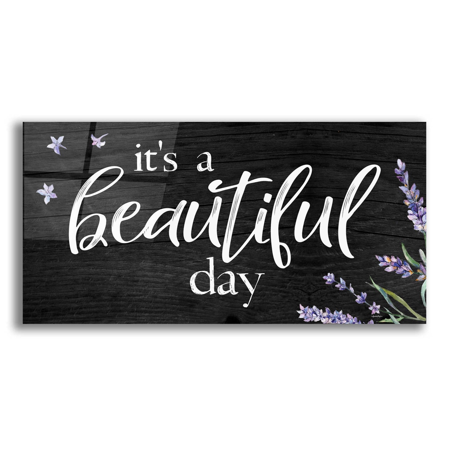 Epic Art 'It's a Beautiful Day    ' by Susie Boyer, Acrylic Glass Wall Art,24x12