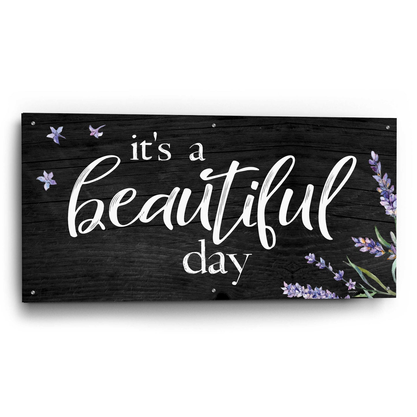 Epic Art 'It's a Beautiful Day    ' by Susie Boyer, Acrylic Glass Wall Art,48x24