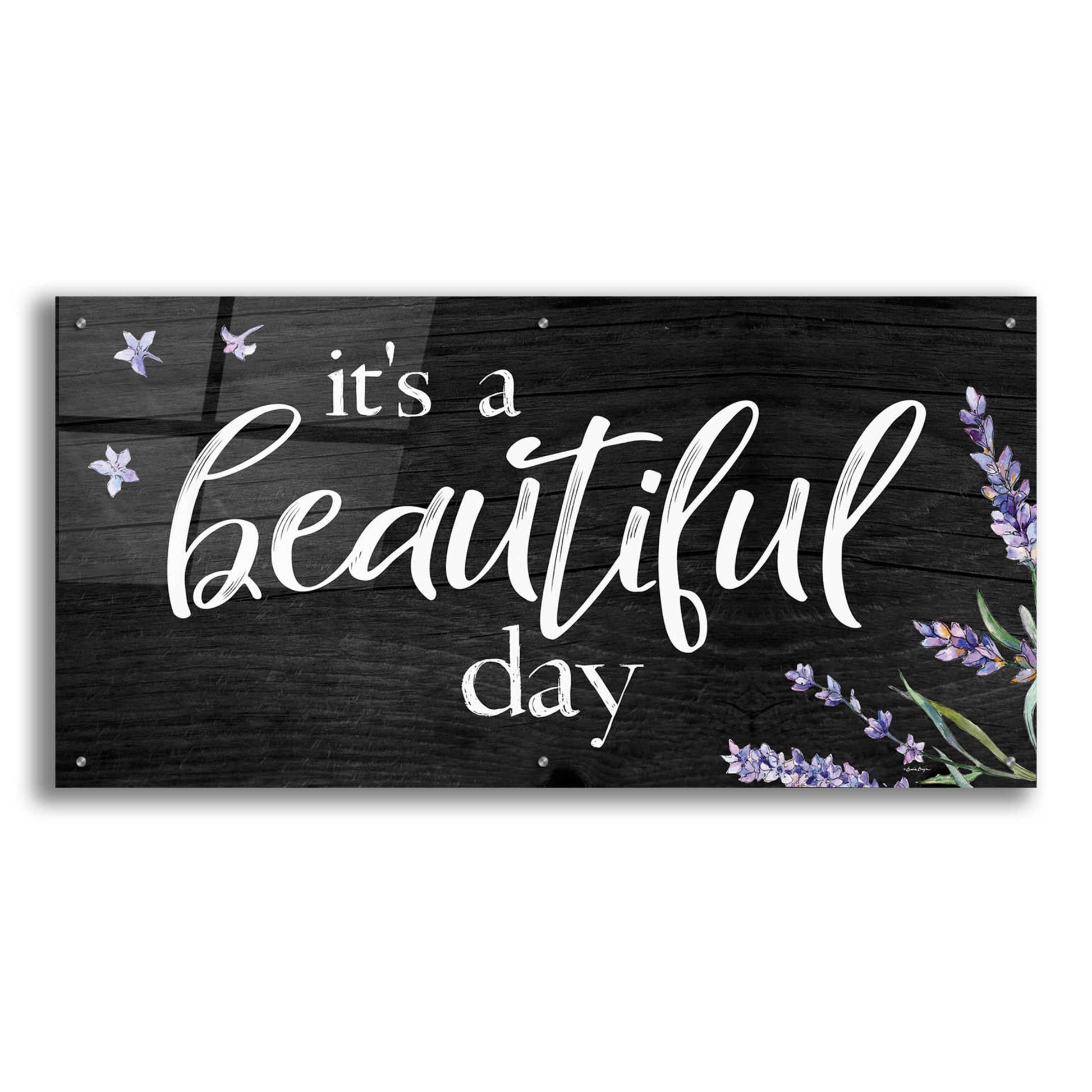 Epic Art 'It's a Beautiful Day    ' by Susie Boyer, Acrylic Glass Wall Art,48x24