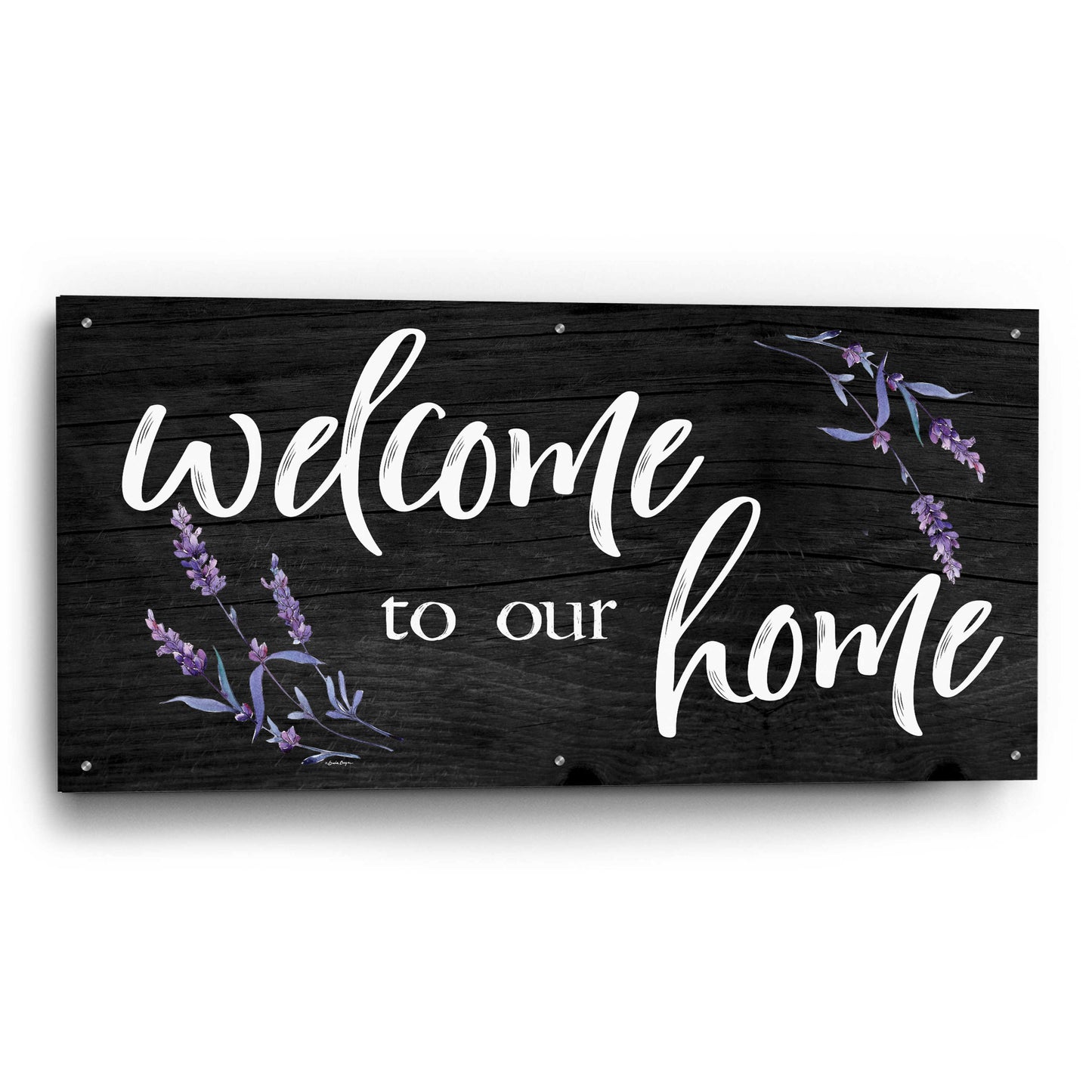 Epic Art 'Welcome to Our Home    ' by Susie Boyer, Acrylic Glass Wall Art,48x24