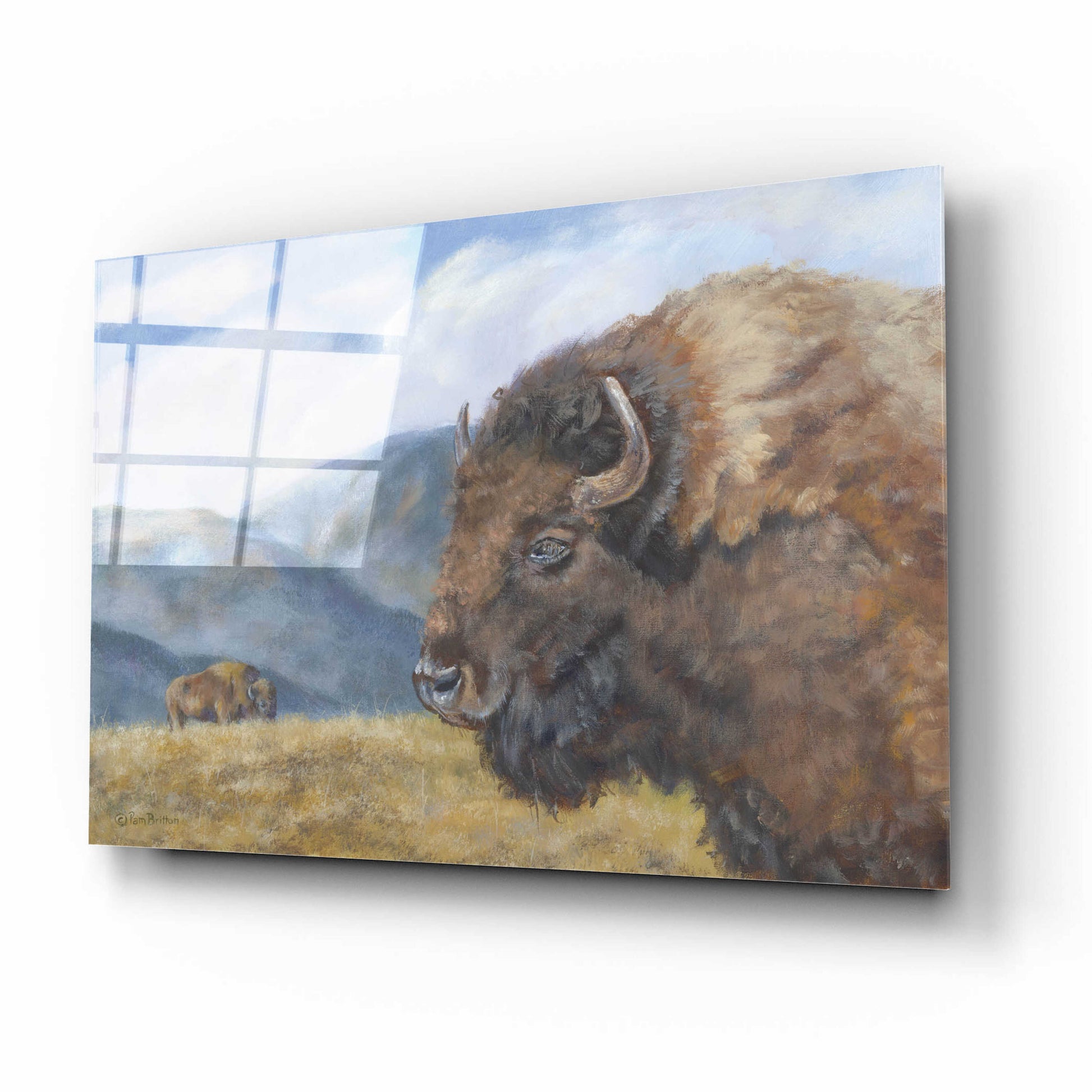 Epic Art 'Yellowstone Kings   ' by Pam Britton, Acrylic Glass Wall Art,16x12