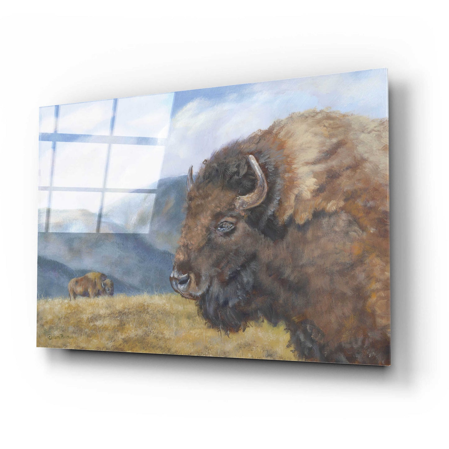 Epic Art 'Yellowstone Kings   ' by Pam Britton, Acrylic Glass Wall Art,24x16