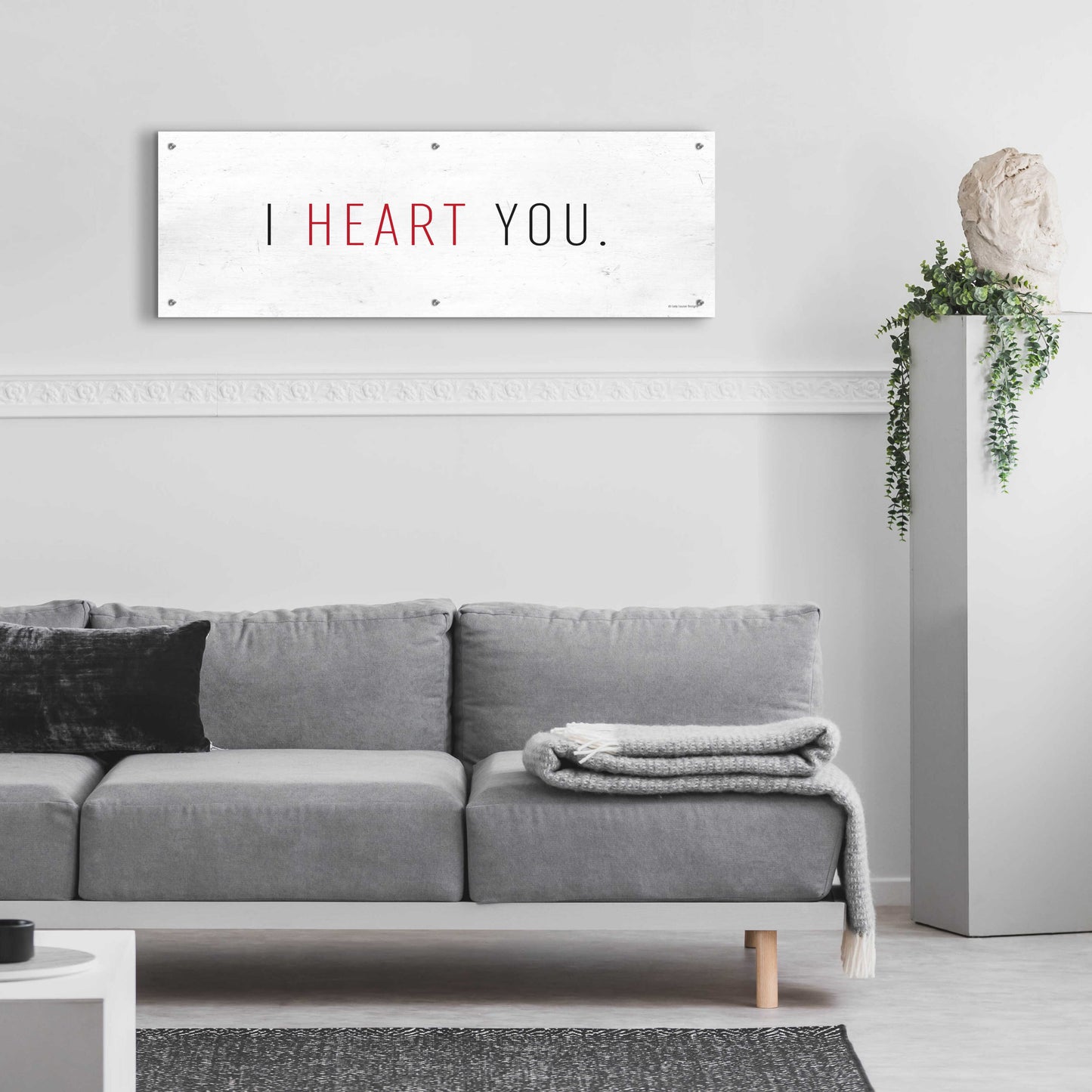 Epic Art 'I Heart You' by Lady Louise Designs, Acrylic Glass Wall Art,48x16