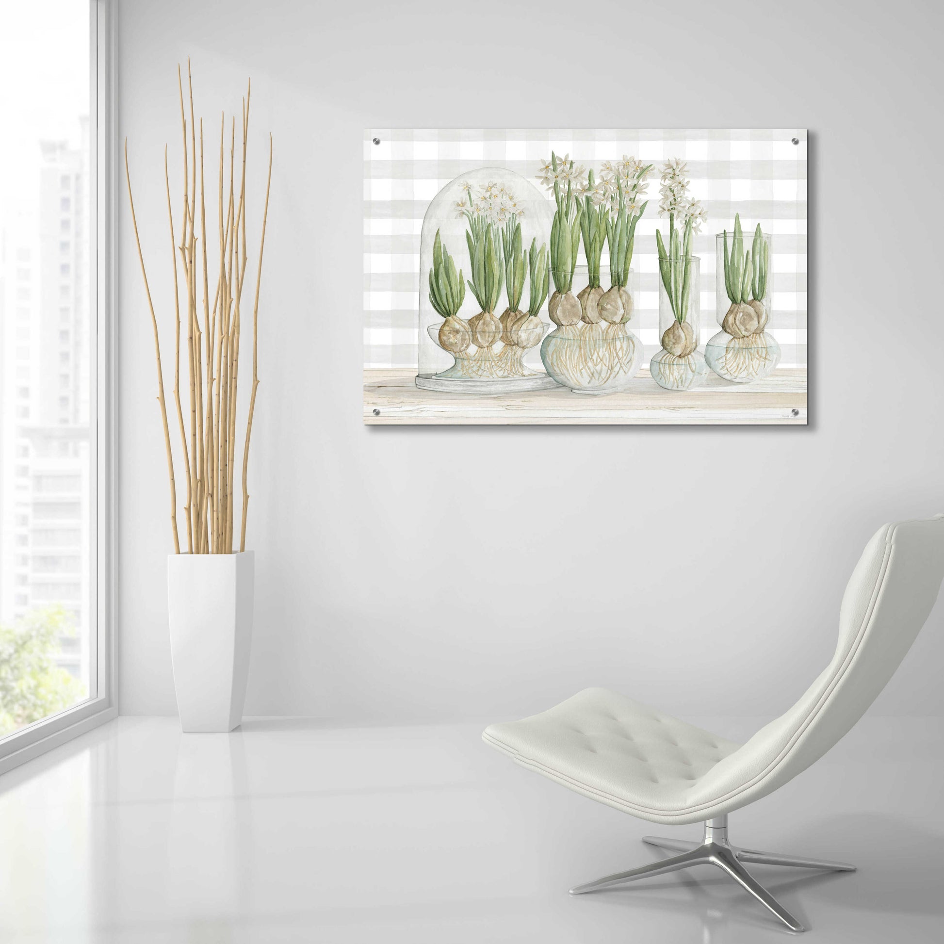 Epic Art 'Paperwhite Bulbs' by Cindy Jacobs, Acrylic Glass Wall Art,36x24