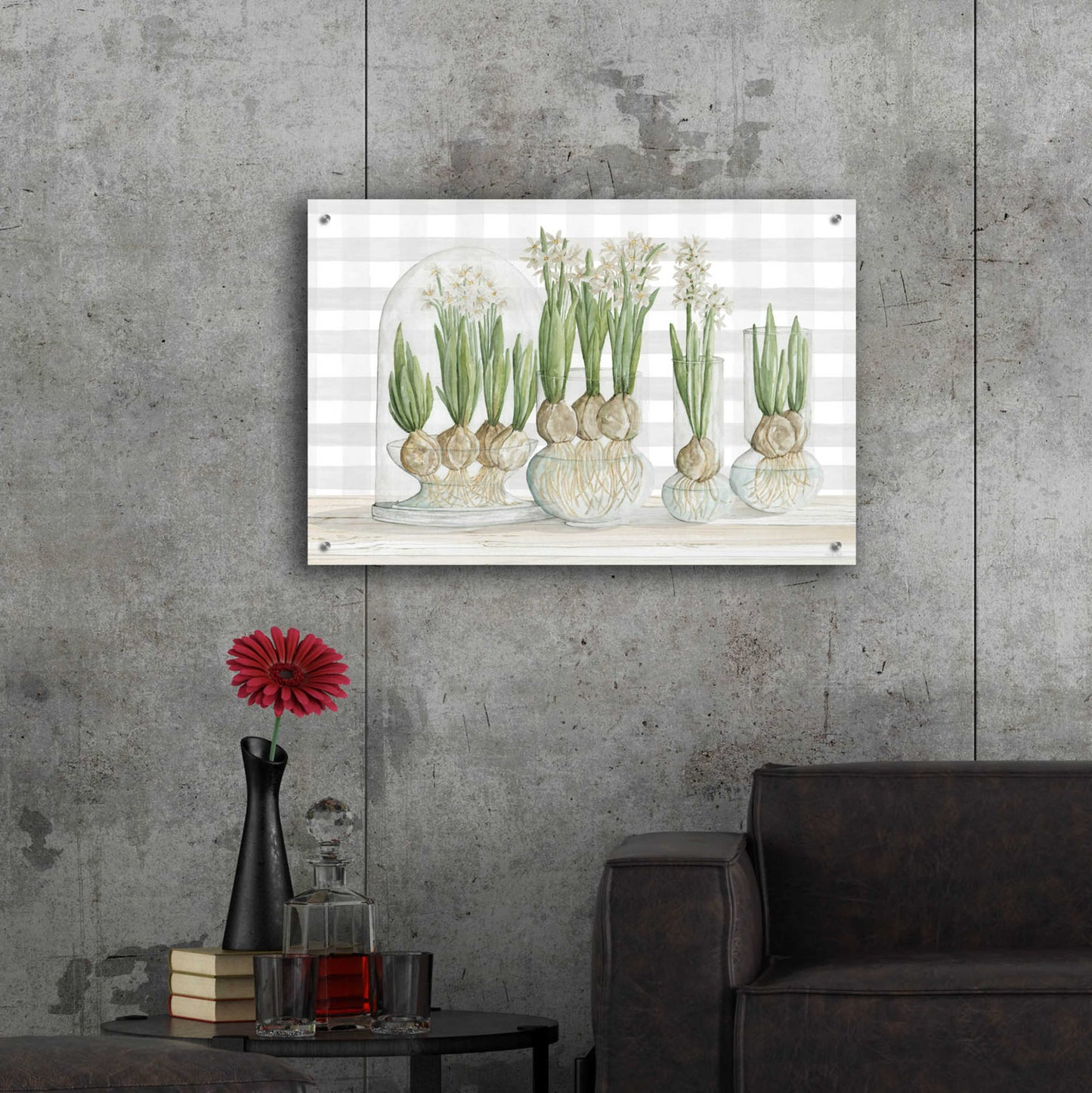 Epic Art 'Paperwhite Bulbs' by Cindy Jacobs, Acrylic Glass Wall Art,36x24