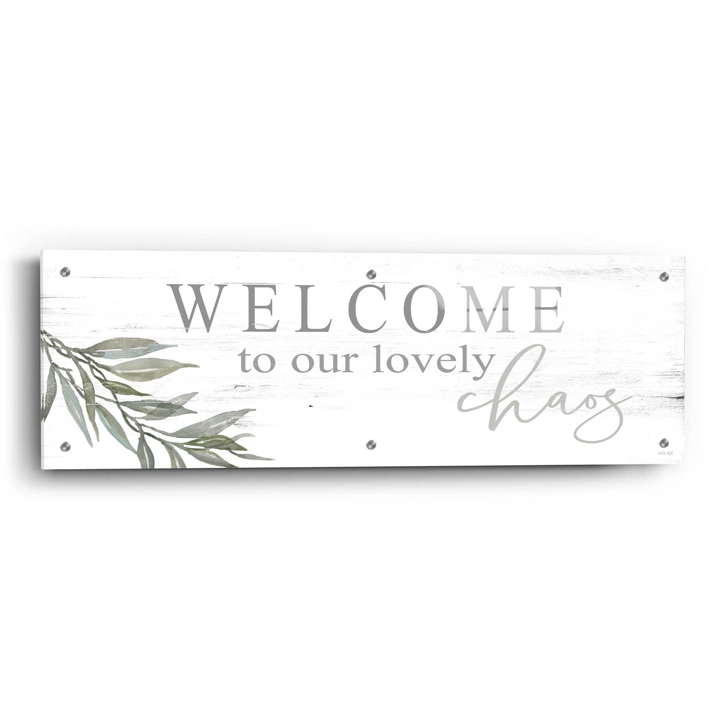 Epic Art 'Welcome to Our Lovely Chaos' by Cindy Jacobs, Acrylic Glass Wall Art,36x12