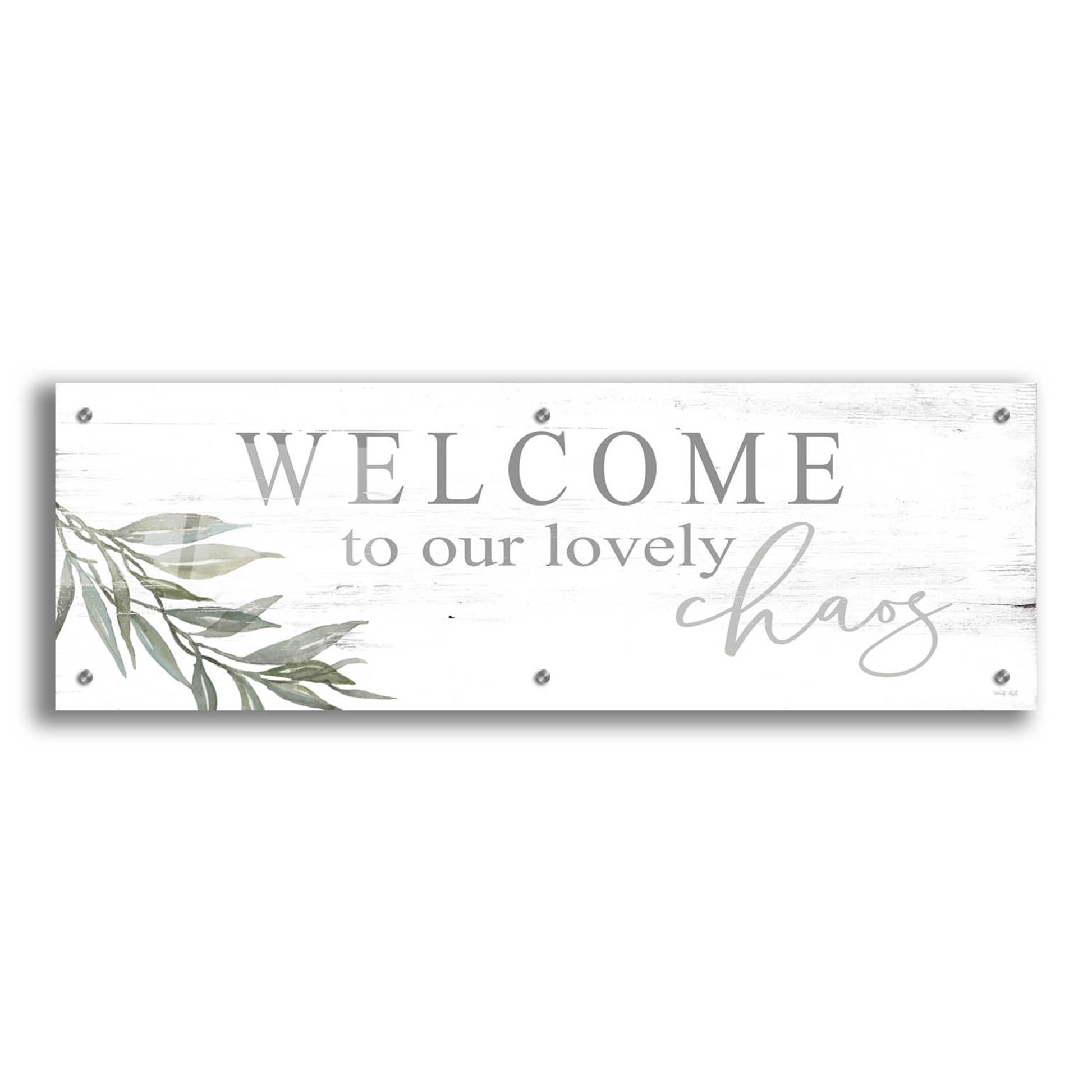 Epic Art 'Welcome to Our Lovely Chaos' by Cindy Jacobs, Acrylic Glass Wall Art,36x12