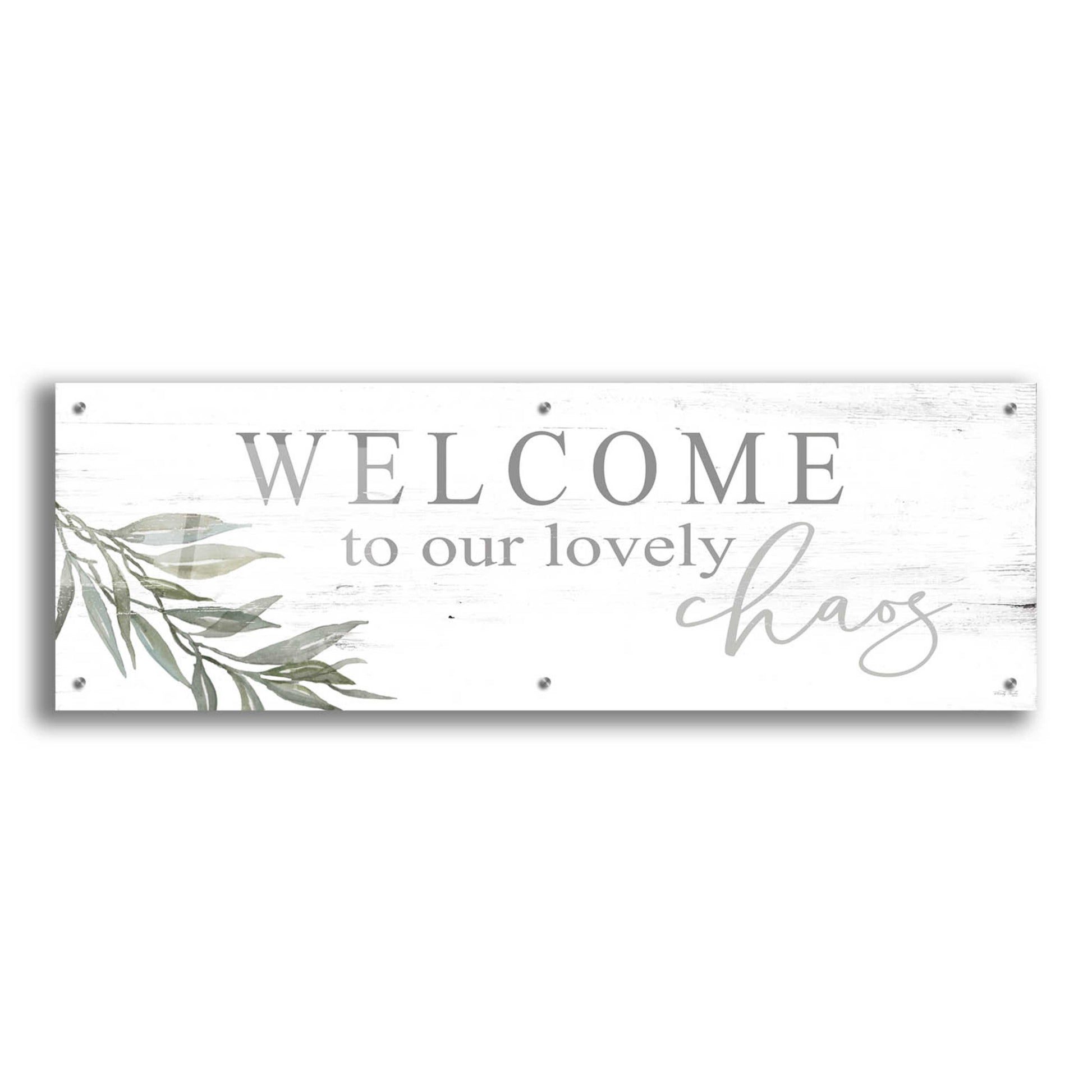 Epic Art 'Welcome to Our Lovely Chaos' by Cindy Jacobs, Acrylic Glass Wall Art,48x16