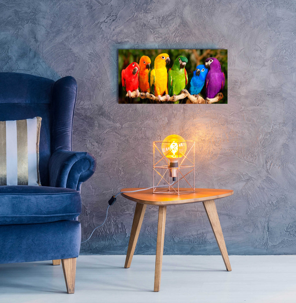 Epic Art 'Rainbow Parrots' by Mike Jones, Acrylic Glass Wall Art,24x12