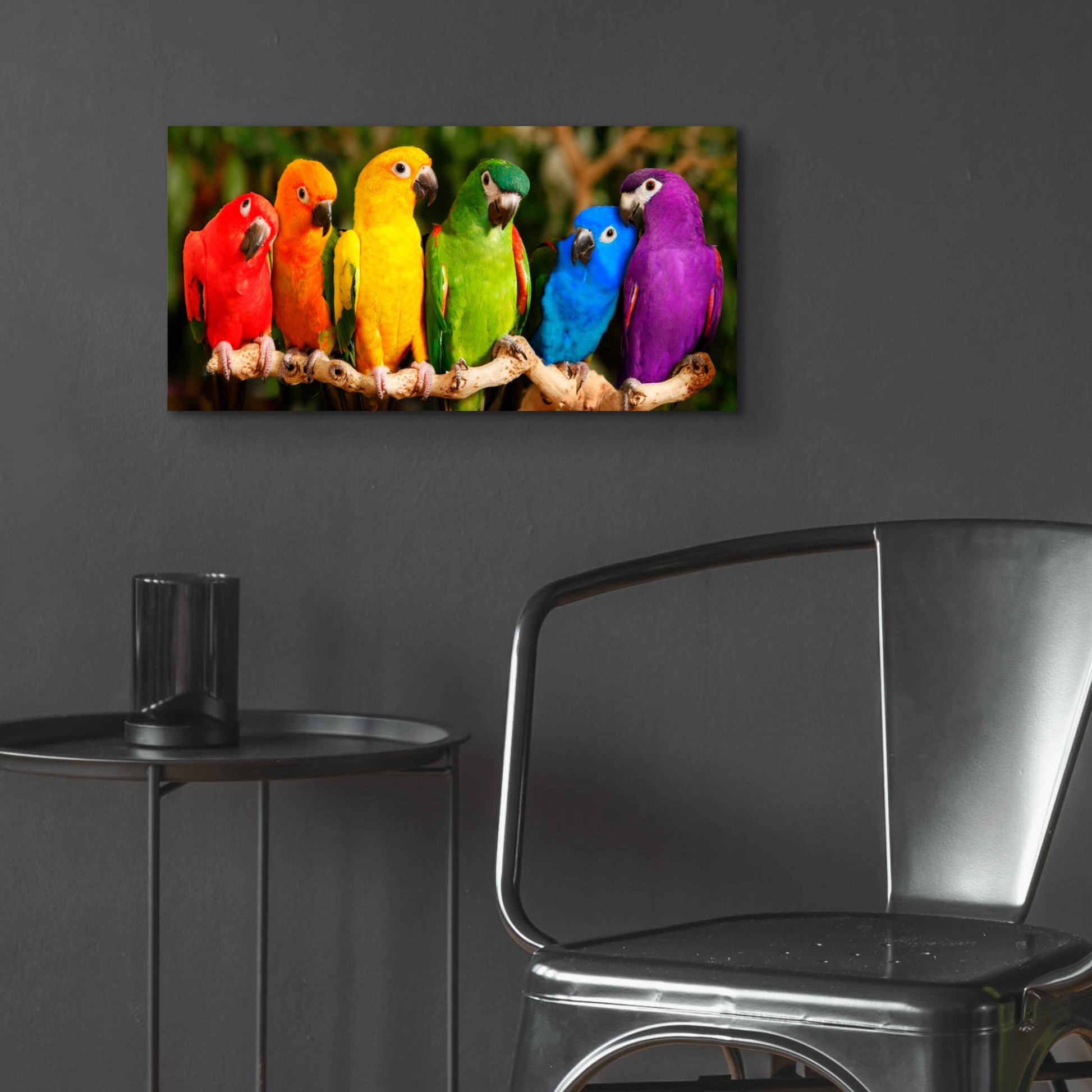 Epic Art 'Rainbow Parrots' by Mike Jones, Acrylic Glass Wall Art,24x12