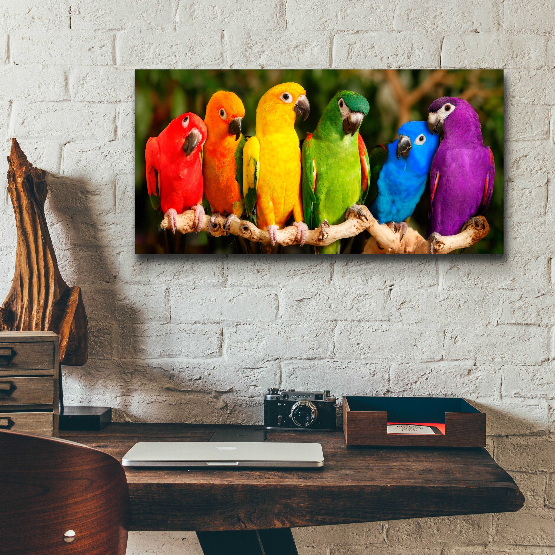 Epic Art 'Rainbow Parrots' by Mike Jones, Acrylic Glass Wall Art,24x12