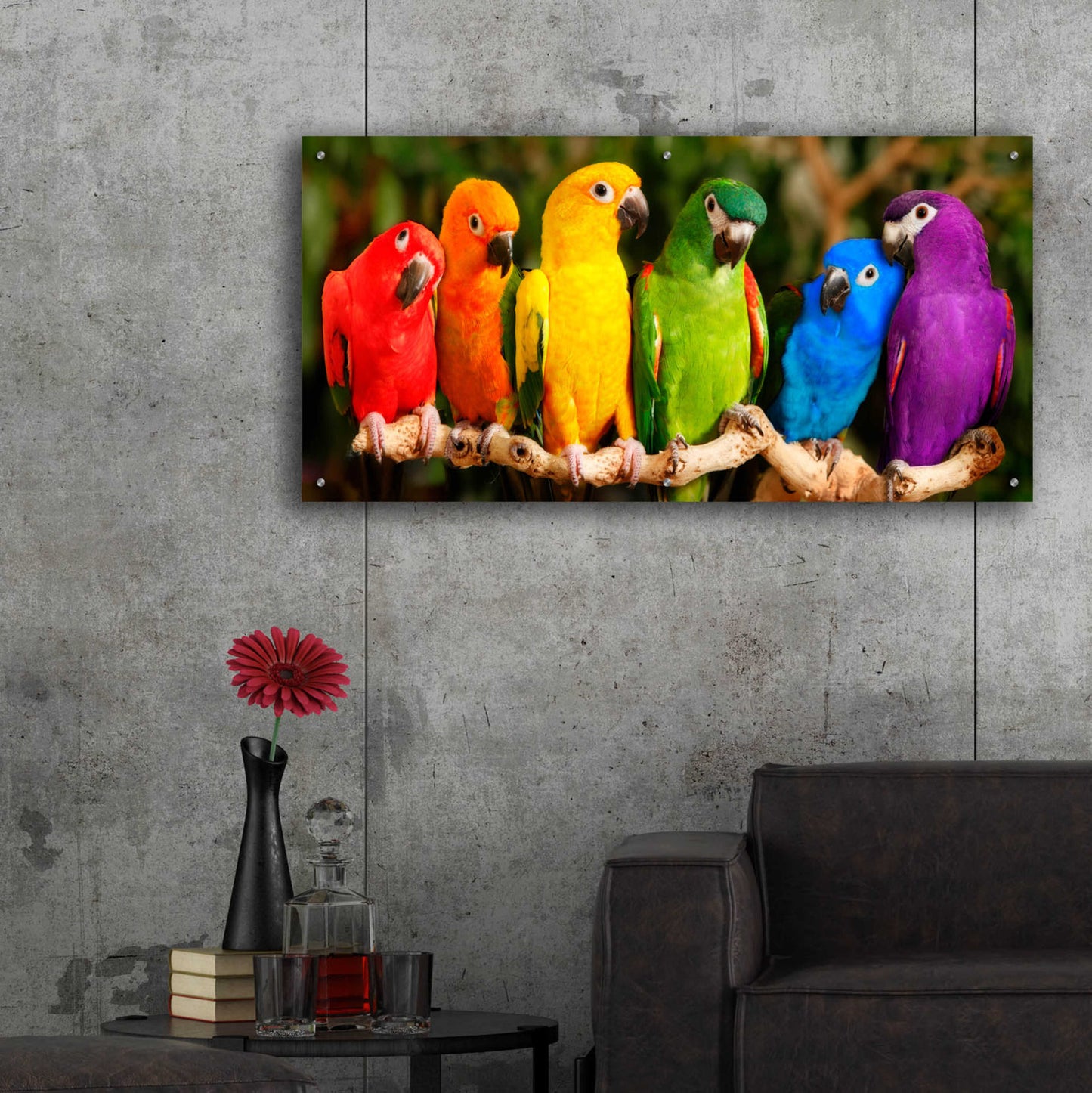 Epic Art 'Rainbow Parrots' by Mike Jones, Acrylic Glass Wall Art,48x24