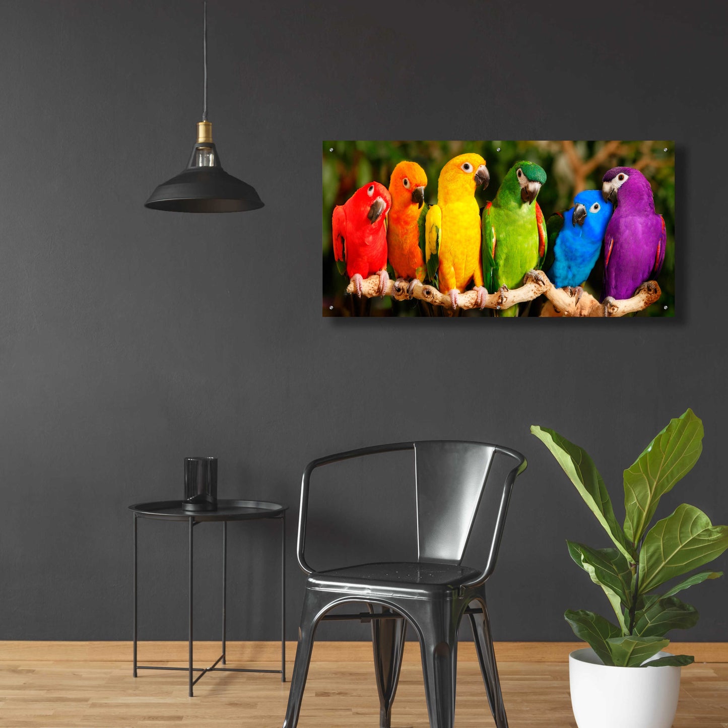 Epic Art 'Rainbow Parrots' by Mike Jones, Acrylic Glass Wall Art,48x24