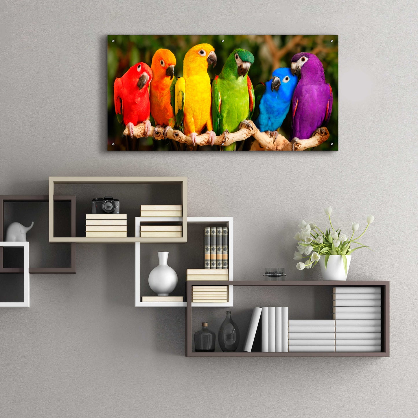 Epic Art 'Rainbow Parrots' by Mike Jones, Acrylic Glass Wall Art,48x24