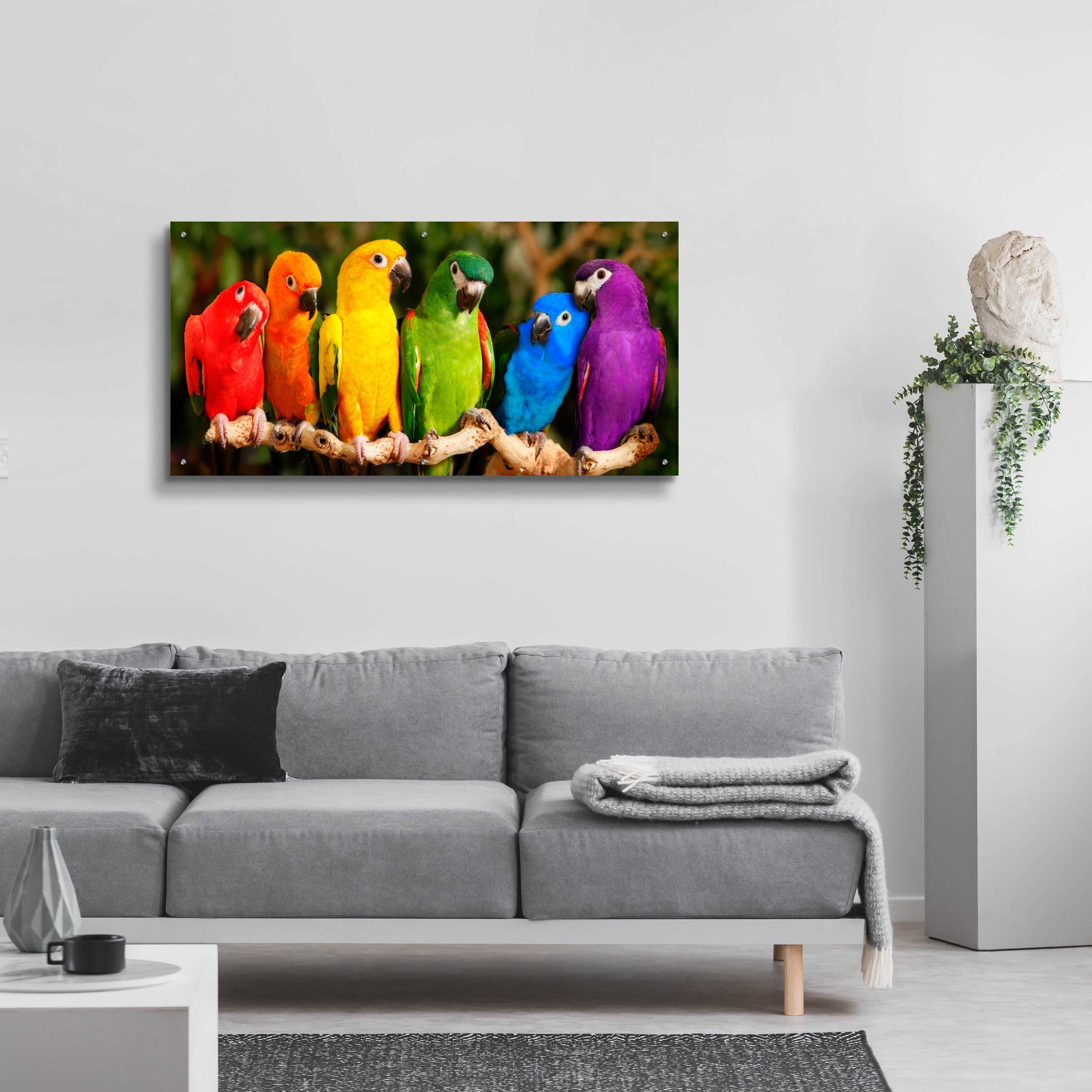 Epic Art 'Rainbow Parrots' by Mike Jones, Acrylic Glass Wall Art,48x24