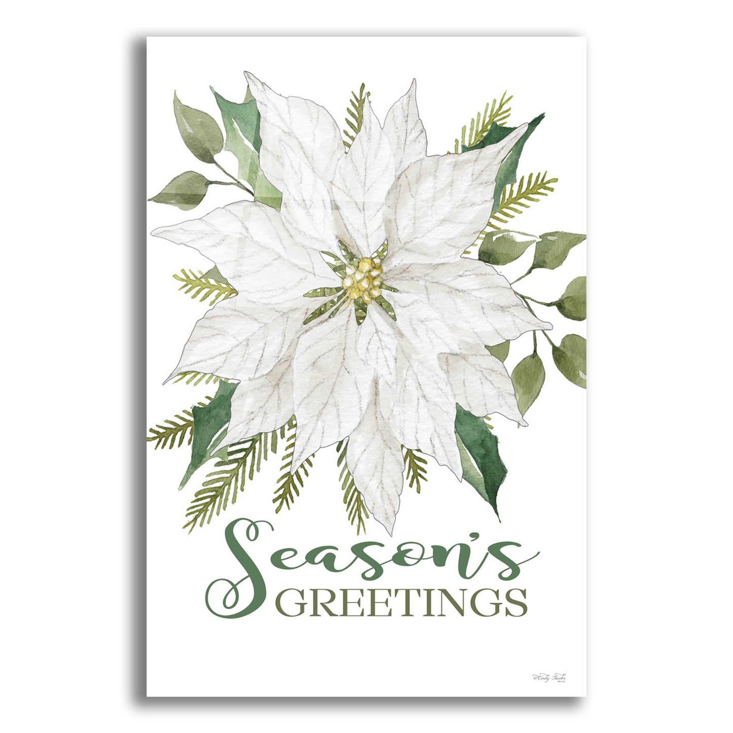 Epic Art 'Season's Greetings Poinsettia' by Cindy Jacobs, Acrylic Glass Wall Art,12x16