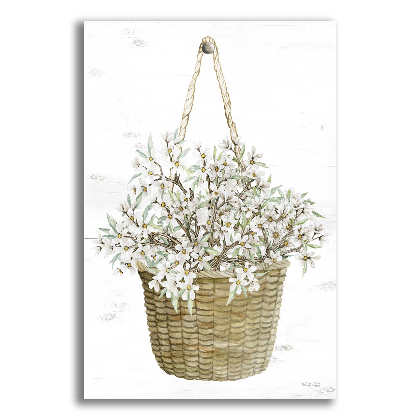 Epic Art 'Basket of Apple Blossoms' by Cindy Jacobs, Acrylic Glass Wall Art,12x16